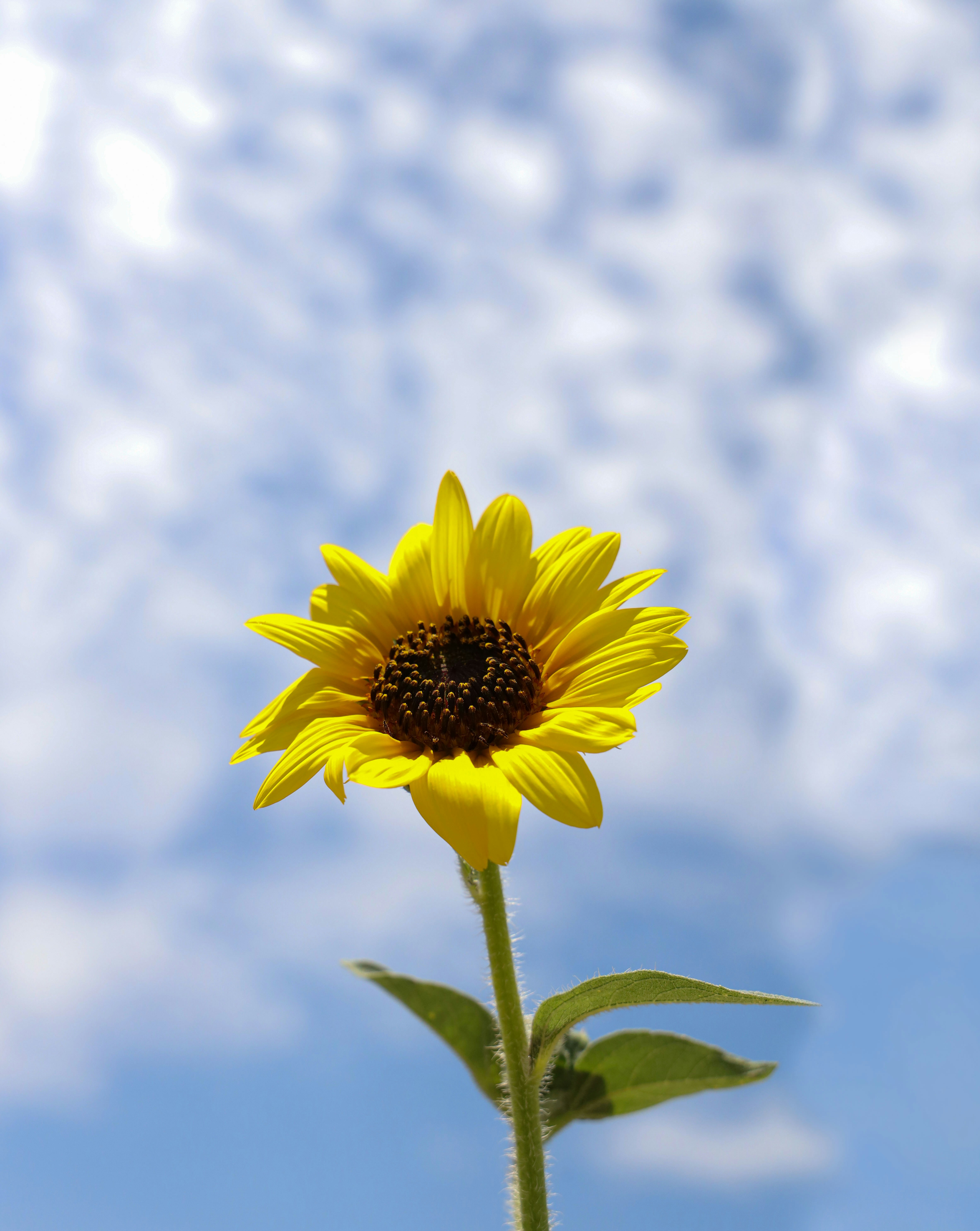 Photo by lilyycamillephoto