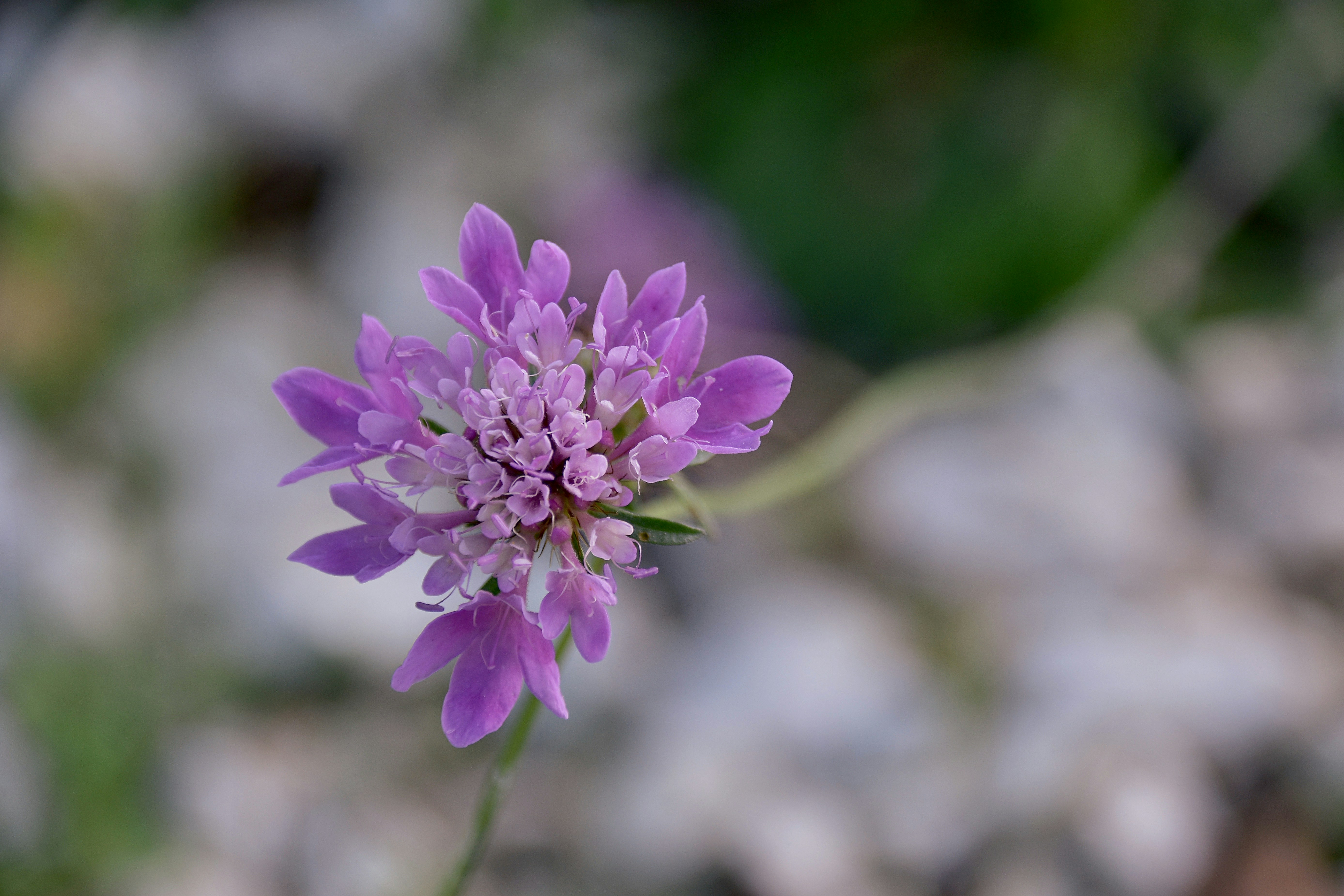 Photo by mariobeducci