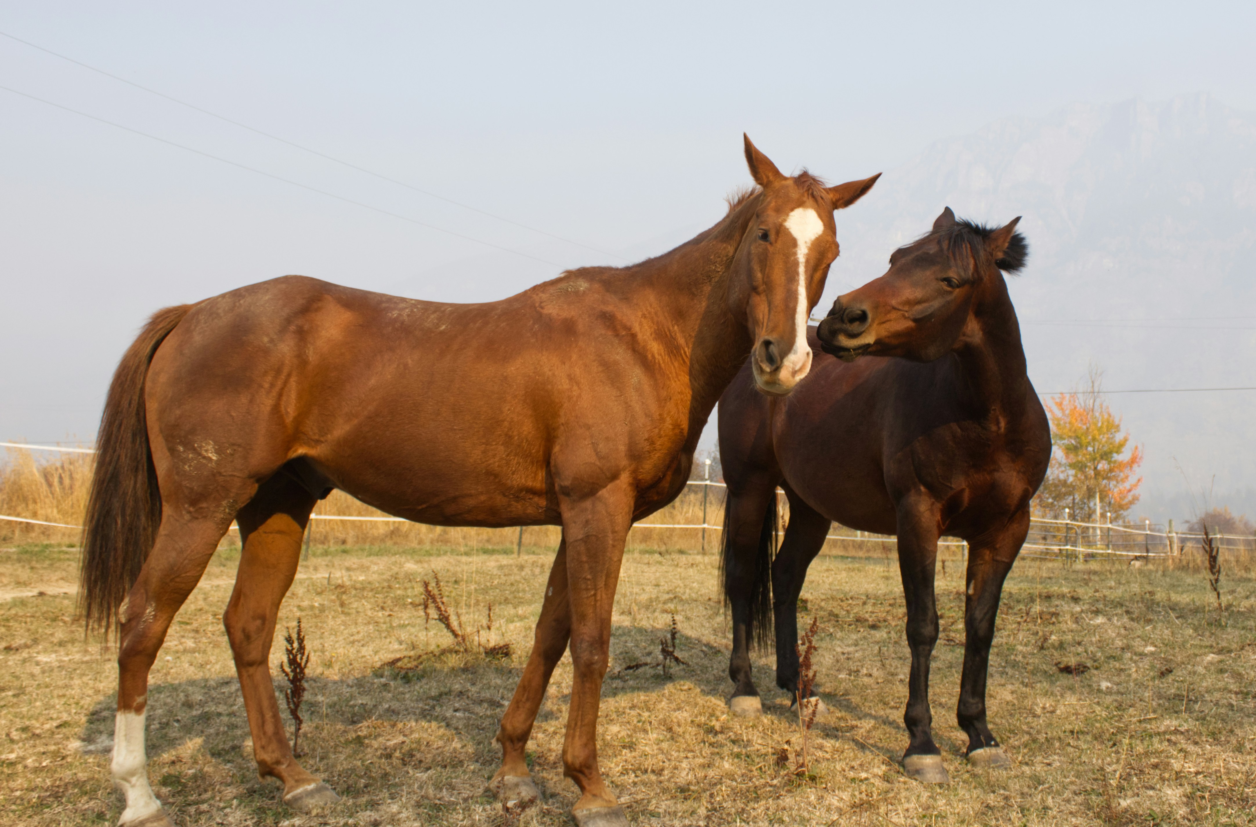 Photo by frozenmoments