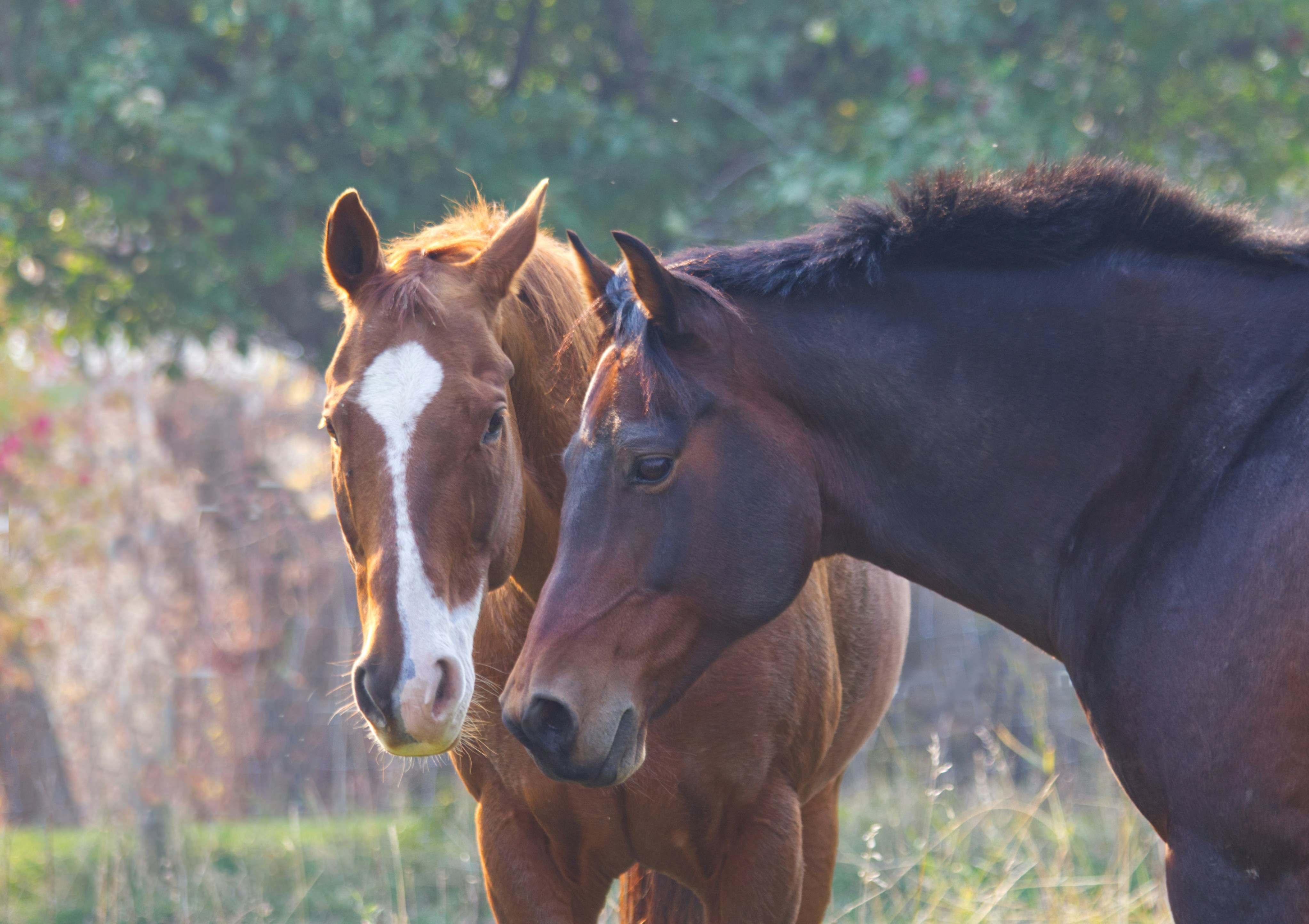 Photo by frozenmoments