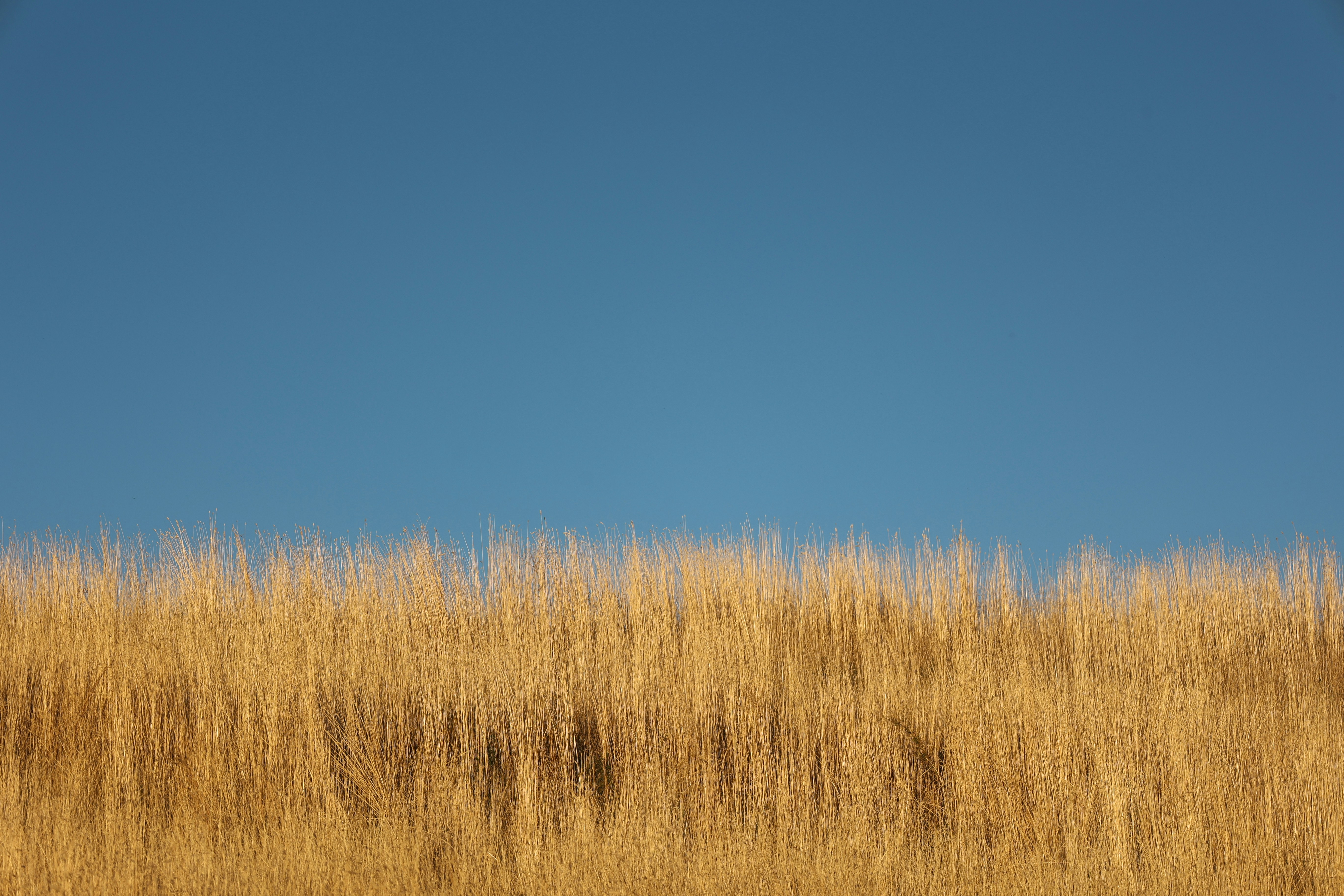 Photo by joshua_hoehne