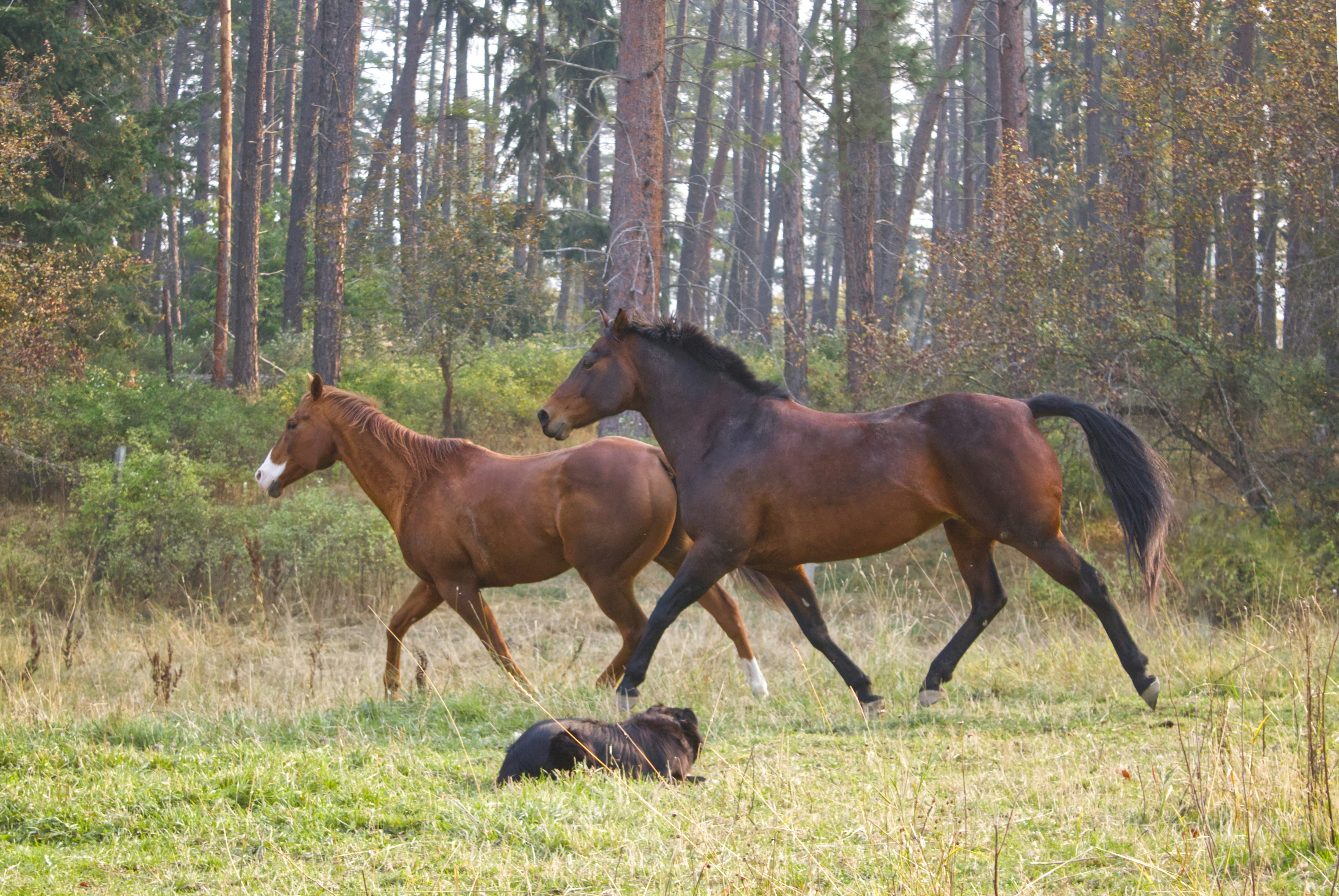 Challenges and Controversies: Not Everyone's Happy (image credits: unsplash)