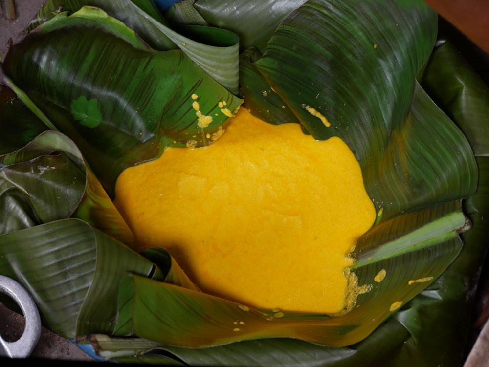 a yellow and green squash