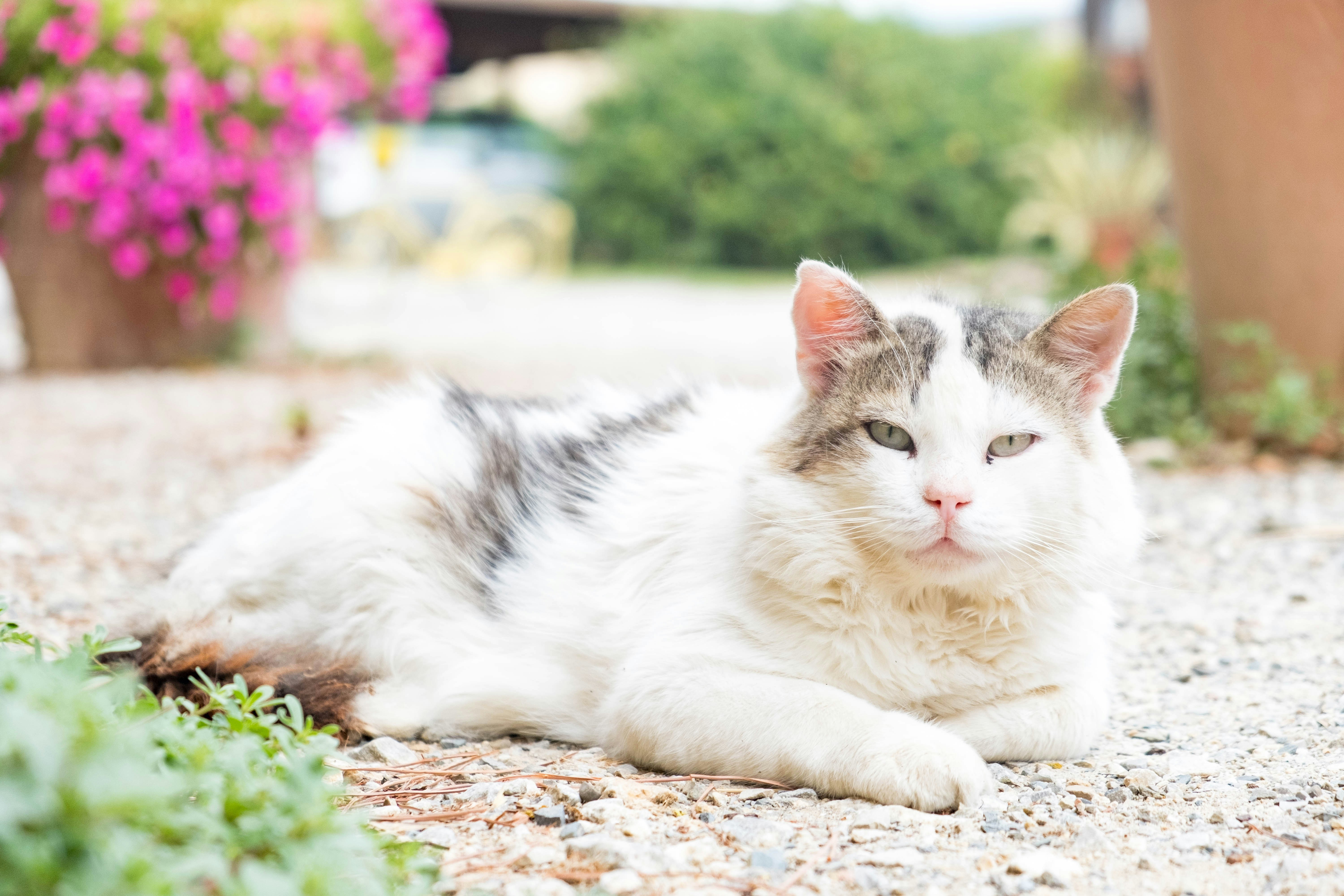 Photo by lieselottedb