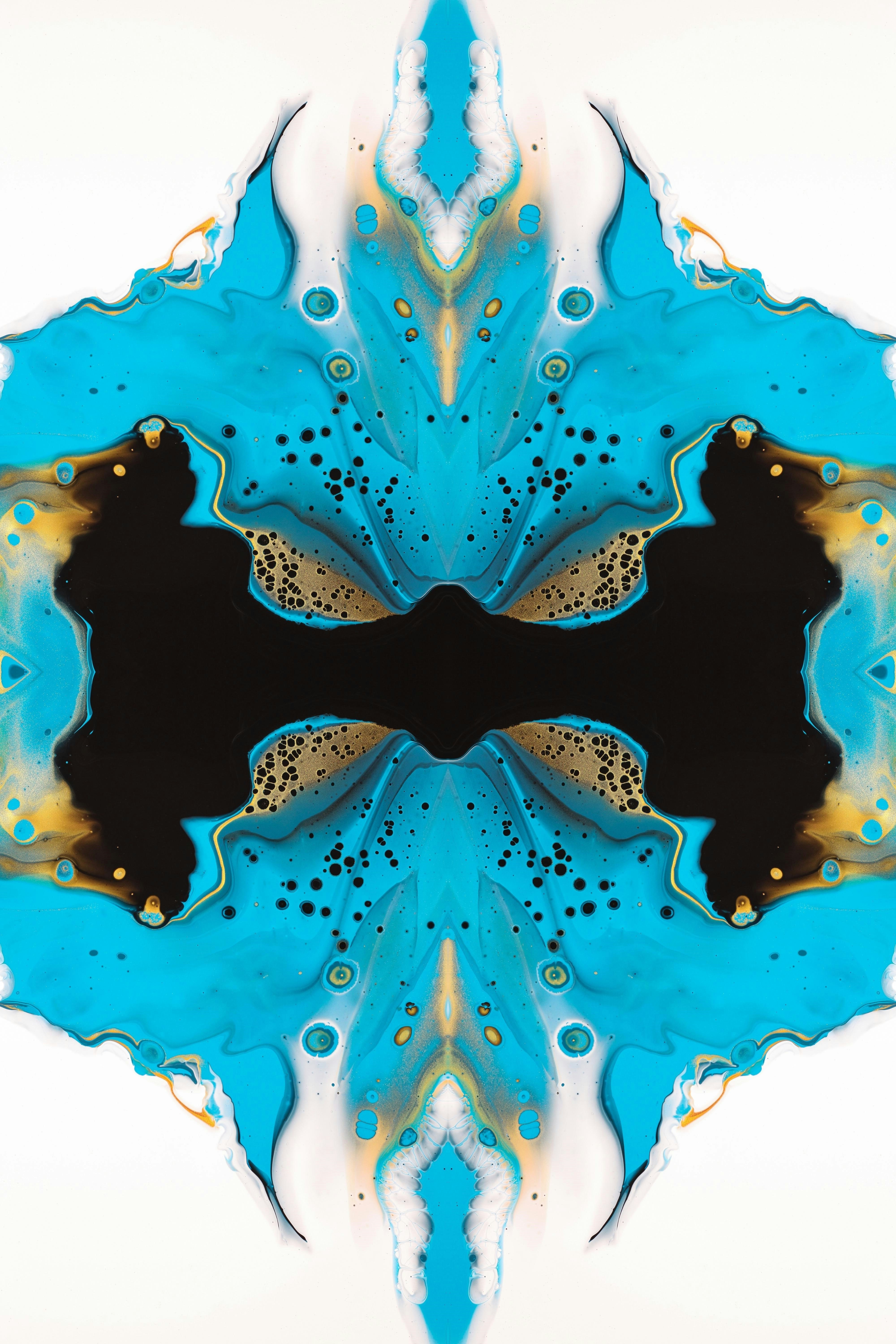 Photo by susan_wilkinson