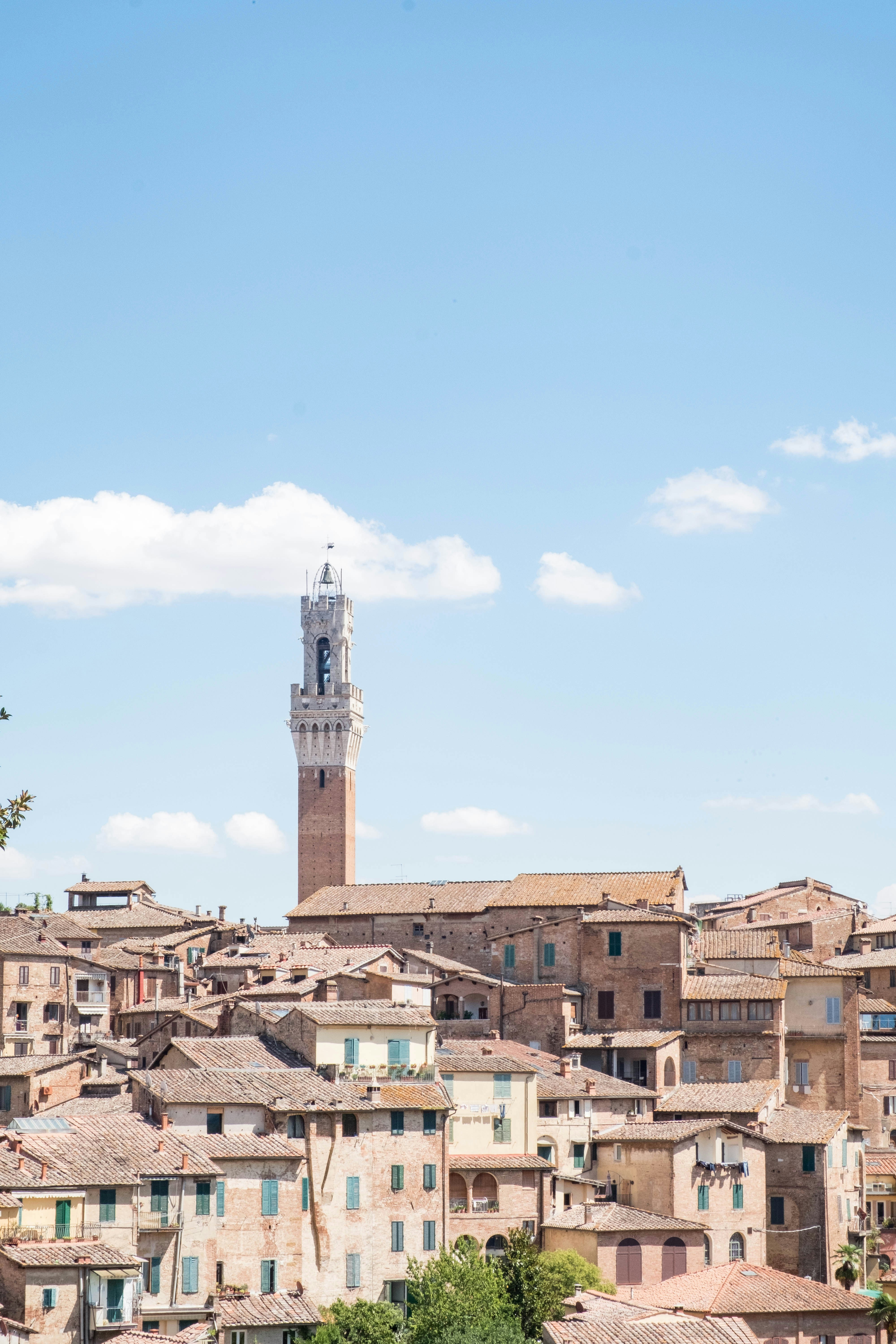 Photo by lieselottedb