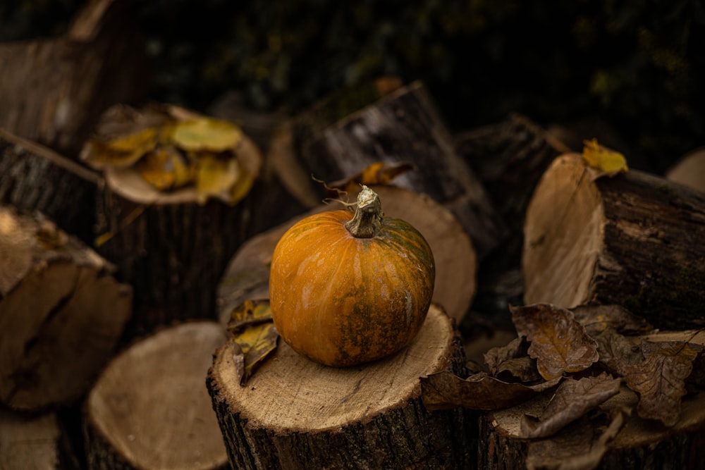 a pumpkin on a pile of leaves