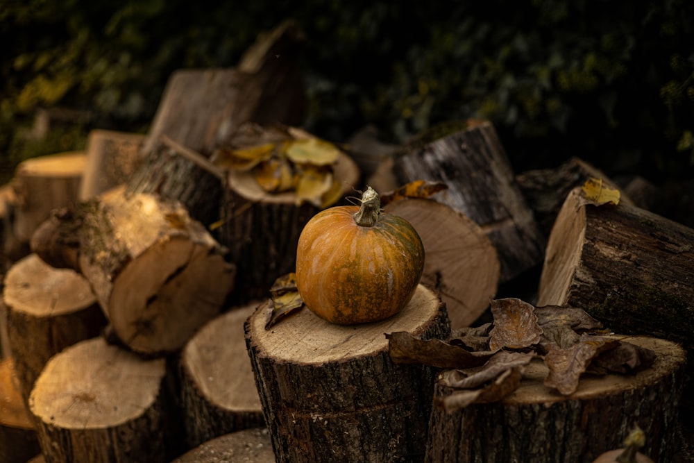 a pumpkin on a pile of cut logs