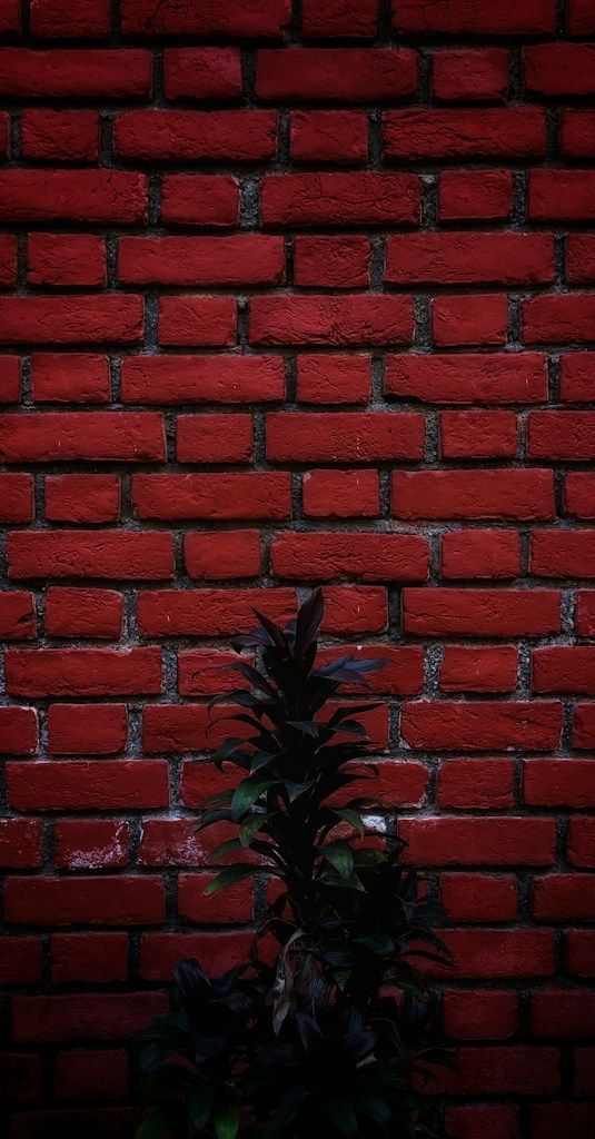 Rojo Exterior