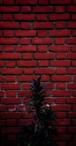 Rojo Exterior