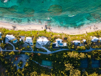 a group of houses with trees and a beach in the background