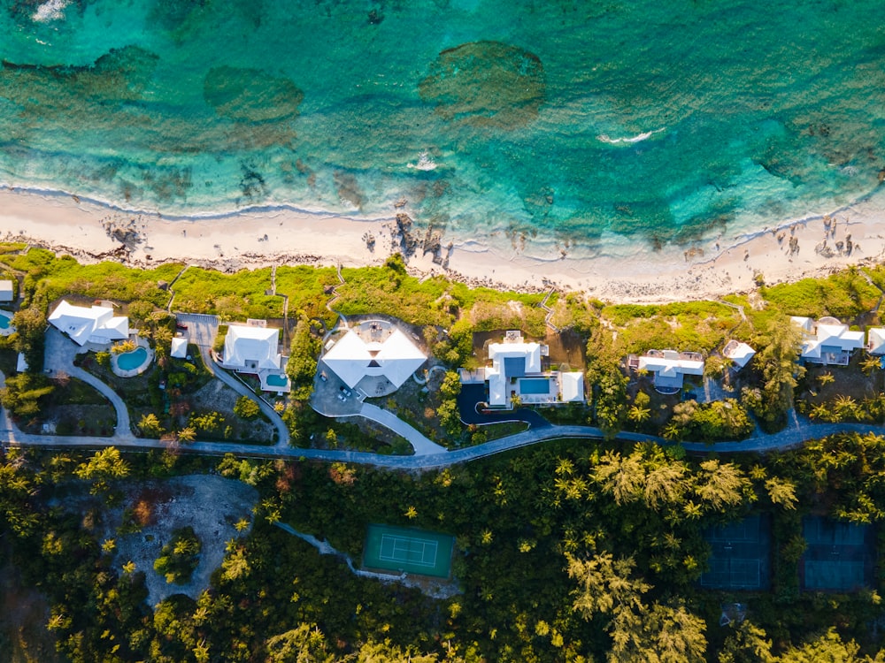 a group of houses with trees and a beach in the background