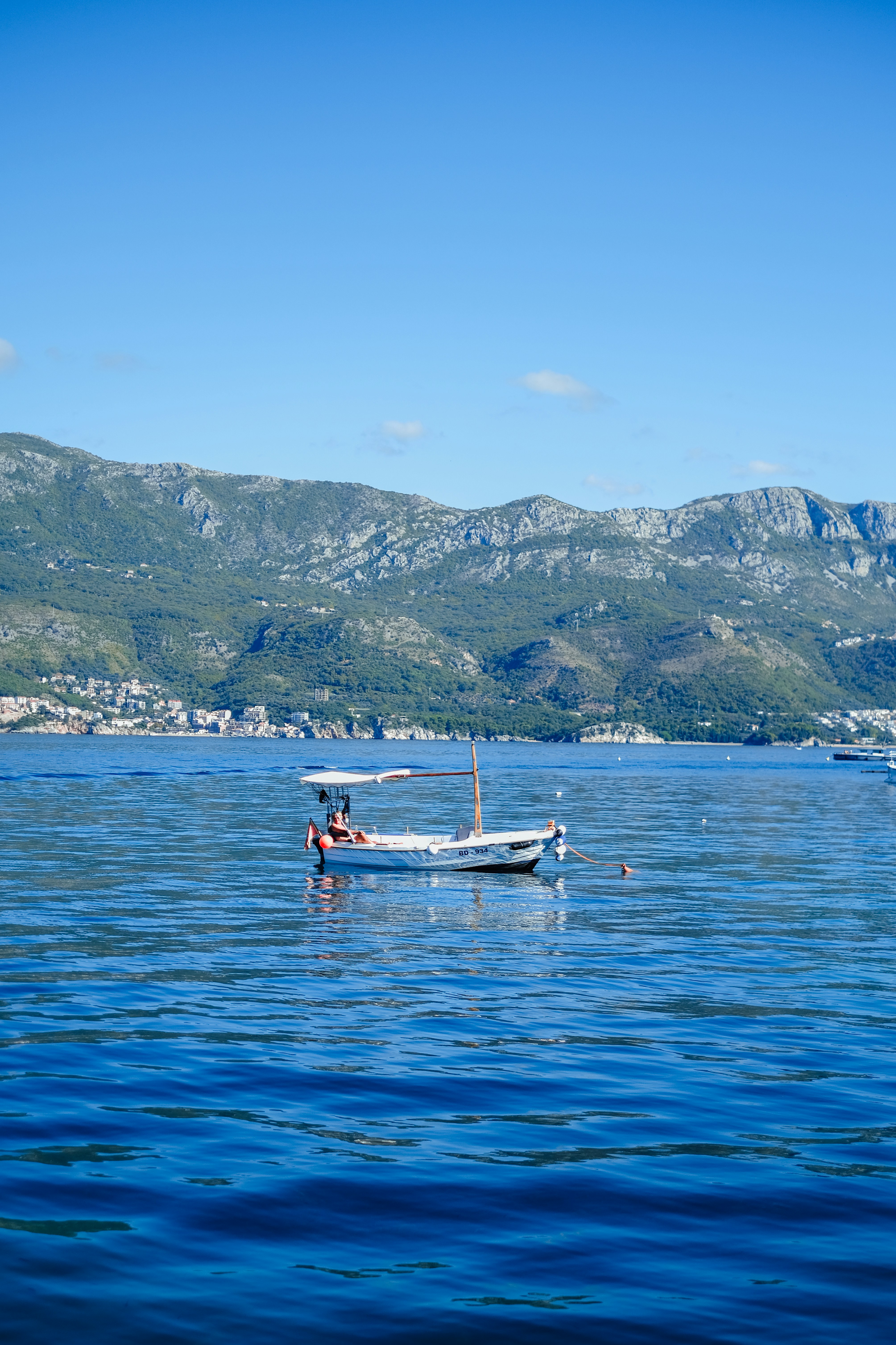 Photo by haticebaran