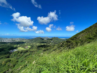 A sweeping view of lush green hills meeting the ocean under a bright sky.