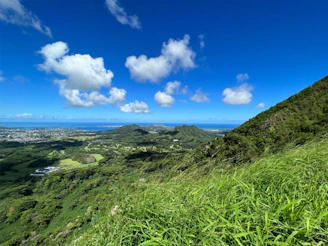 A sweeping view of lush green hills meeting the ocean under a bright sky.