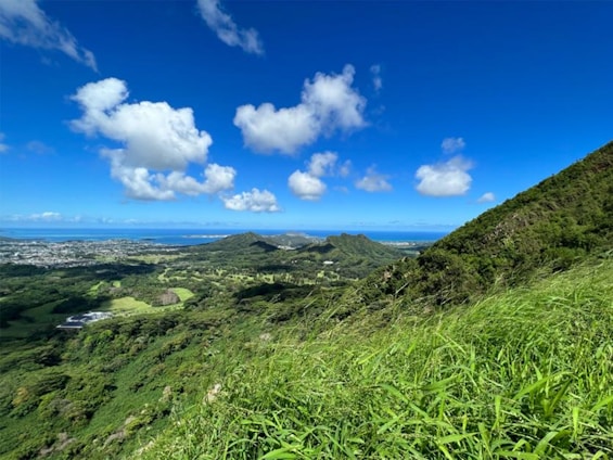 A scenic view of the South Zealand countryside with lush greenery and a clear blue sky.