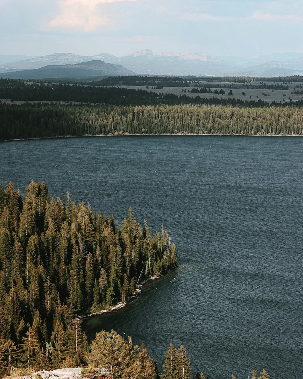 a body of water with trees around it