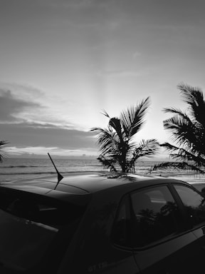 A bright tropical beach scene with a car parked under palm trees at sunset.