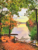 A peaceful meditation scene by a calm lake surrounded by trees in autumn colors.