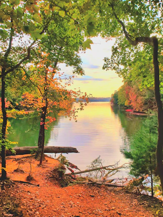 A peaceful meditation scene by a calm lake surrounded by trees in autumn colors.