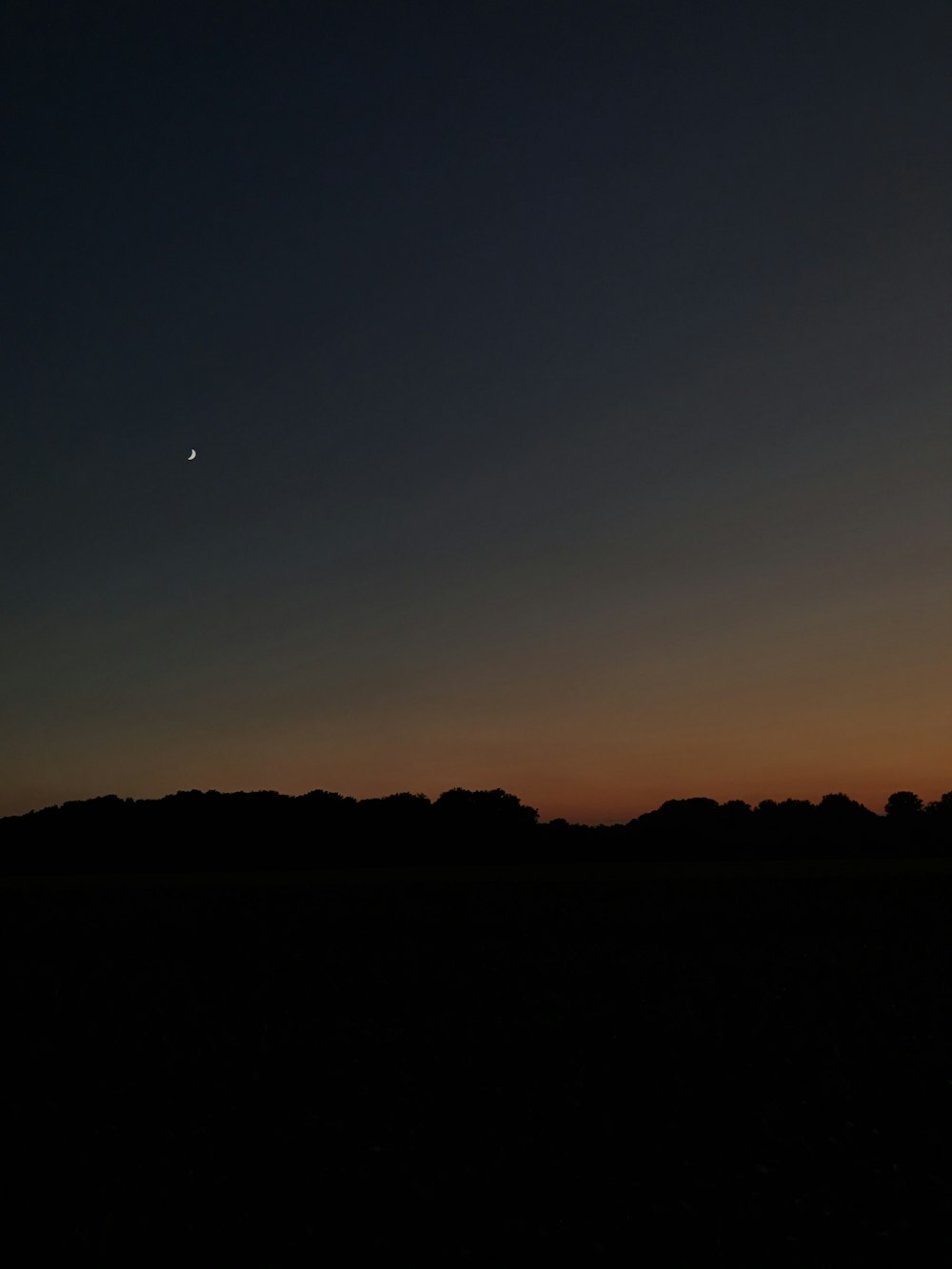 a landscape with trees and a moon in the sky