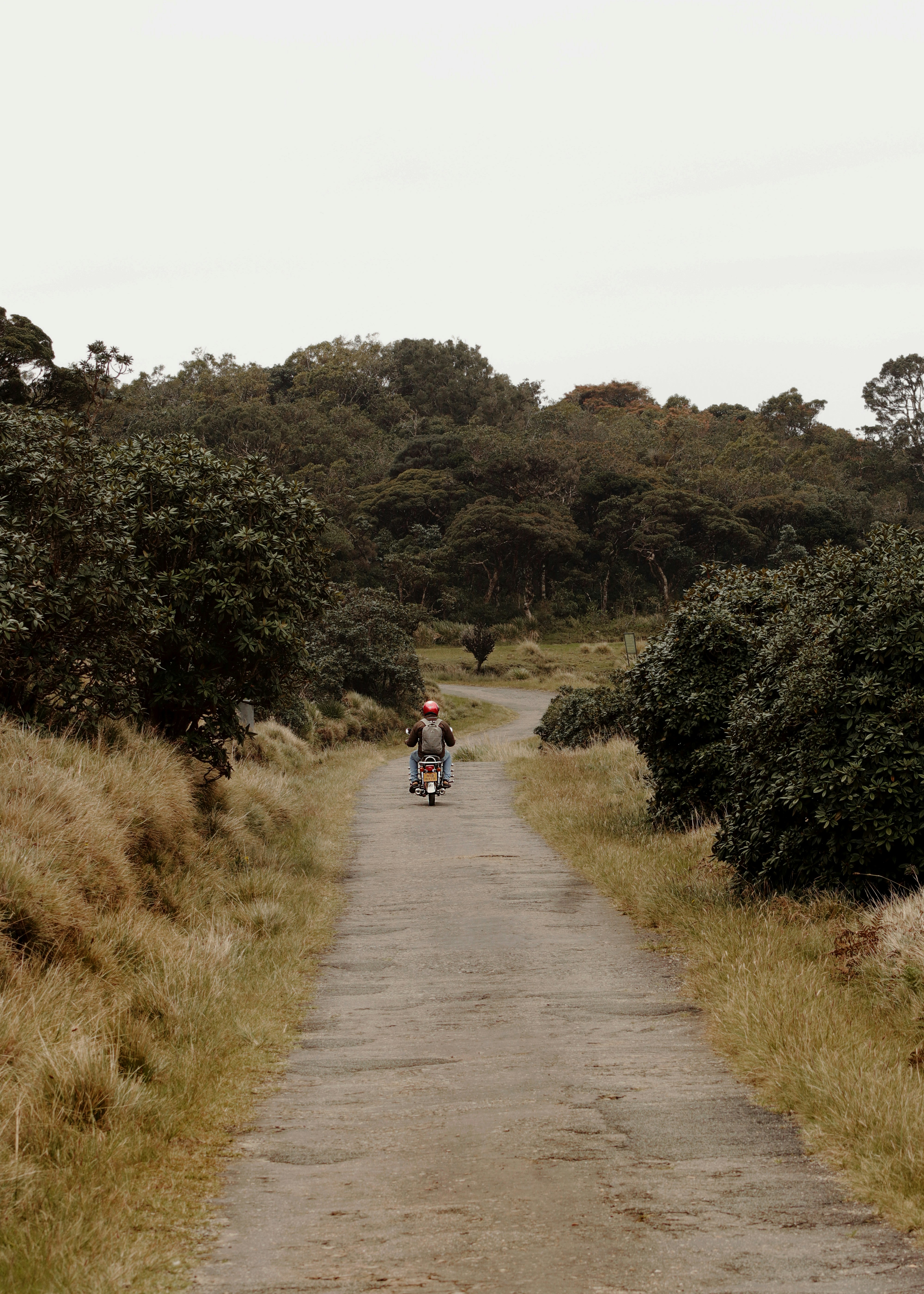 a person riding a bicycle on a dirt road surrounded by trees