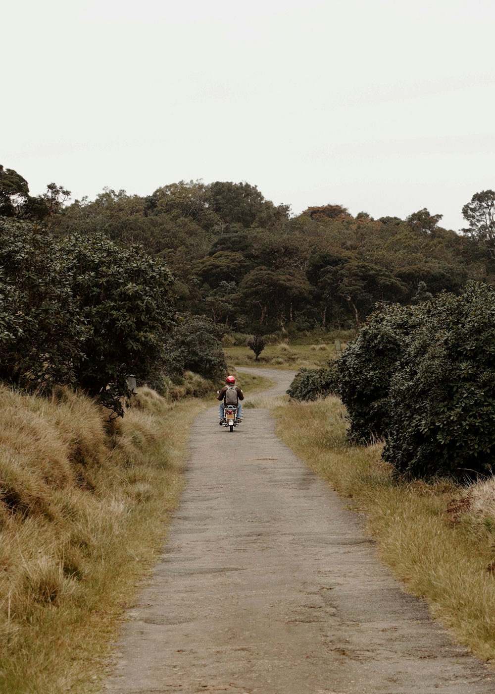 a person riding a bicycle on a dirt road surrounded by trees