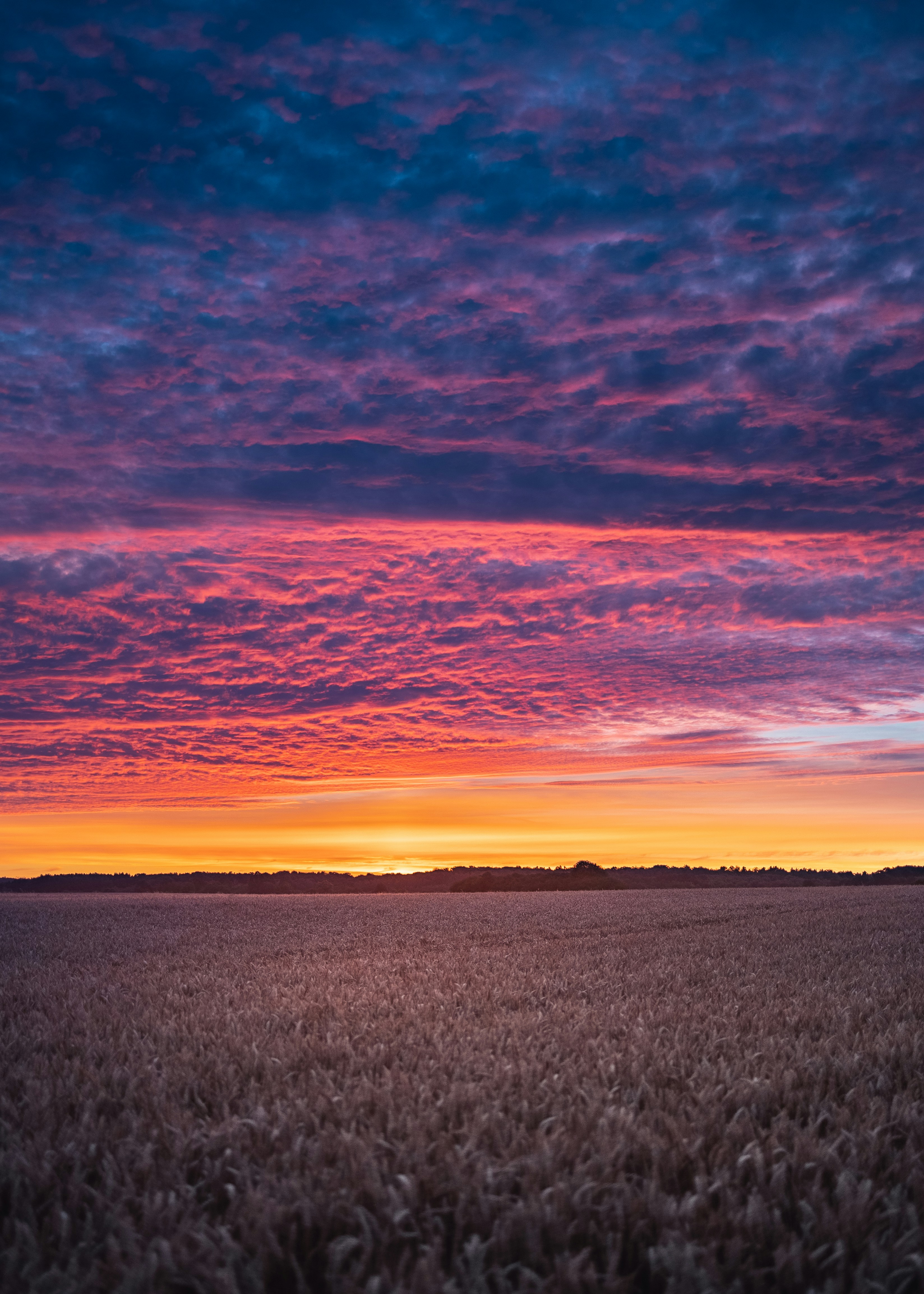 Photo by marekpiwnicki