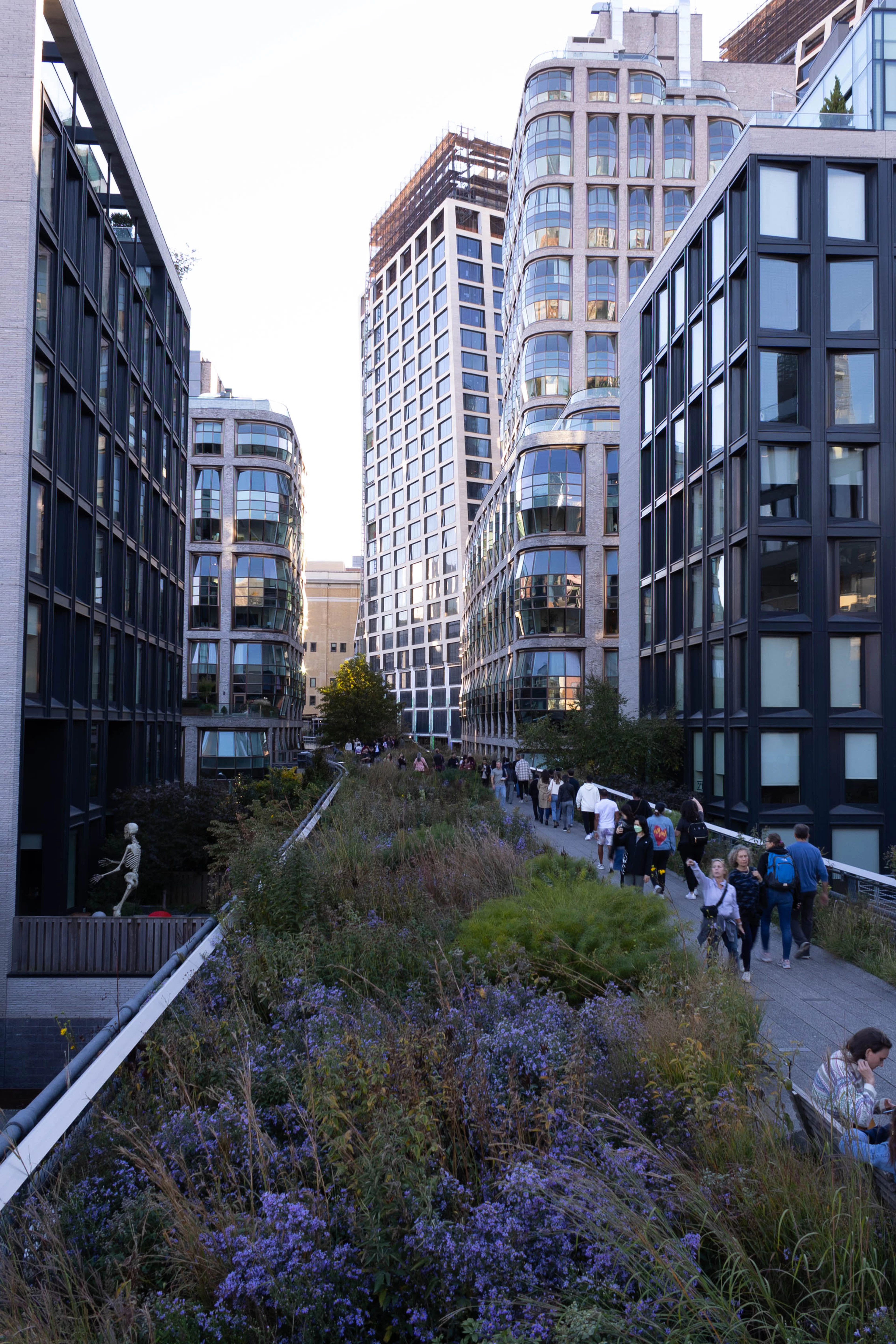 The High Line in autumn, its elevated walkway curving between glass towers with drifts of purple asters and seed heads spilling over the path as walkers pass in late afternoon light