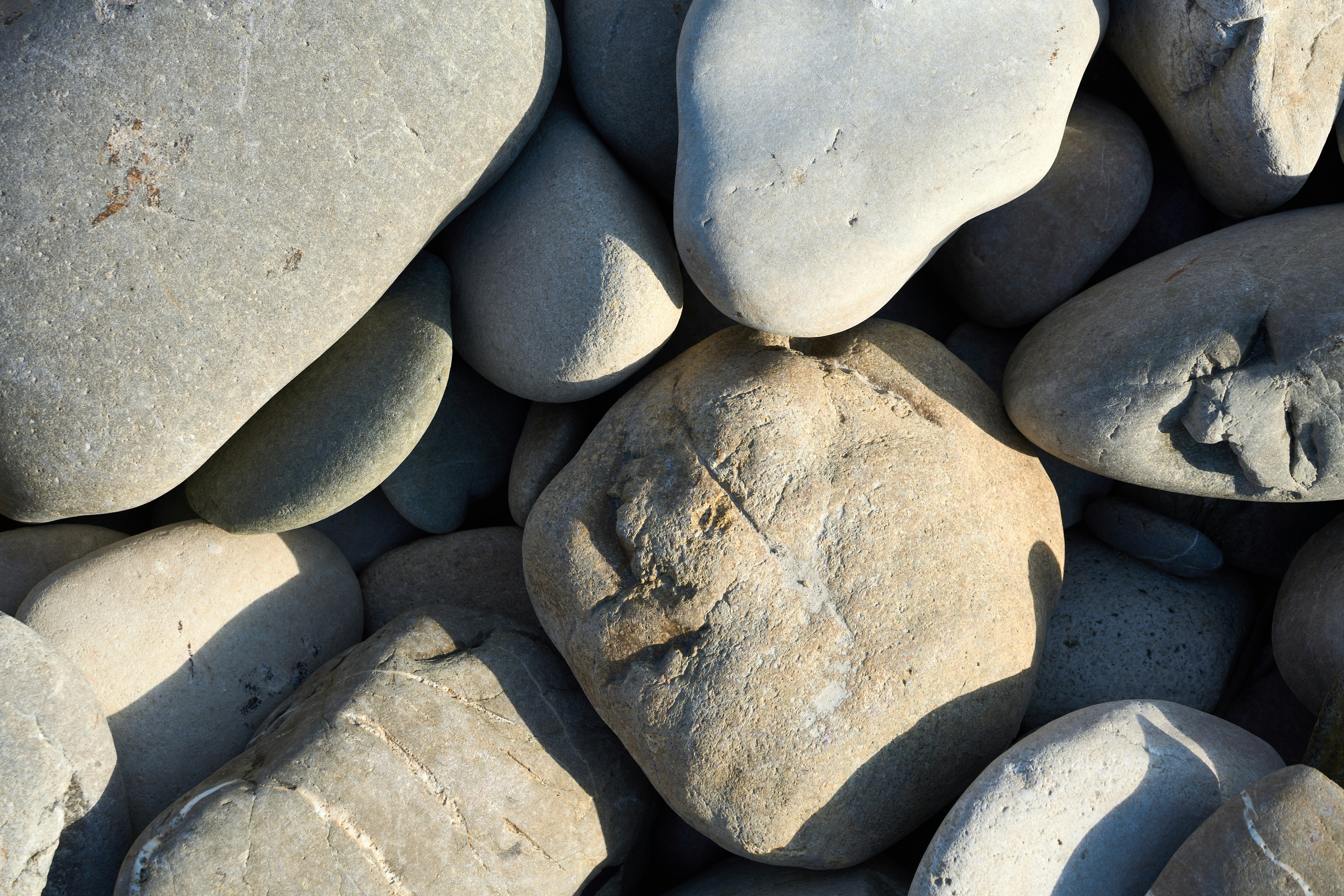 Photo by wolfgang_hasselmann