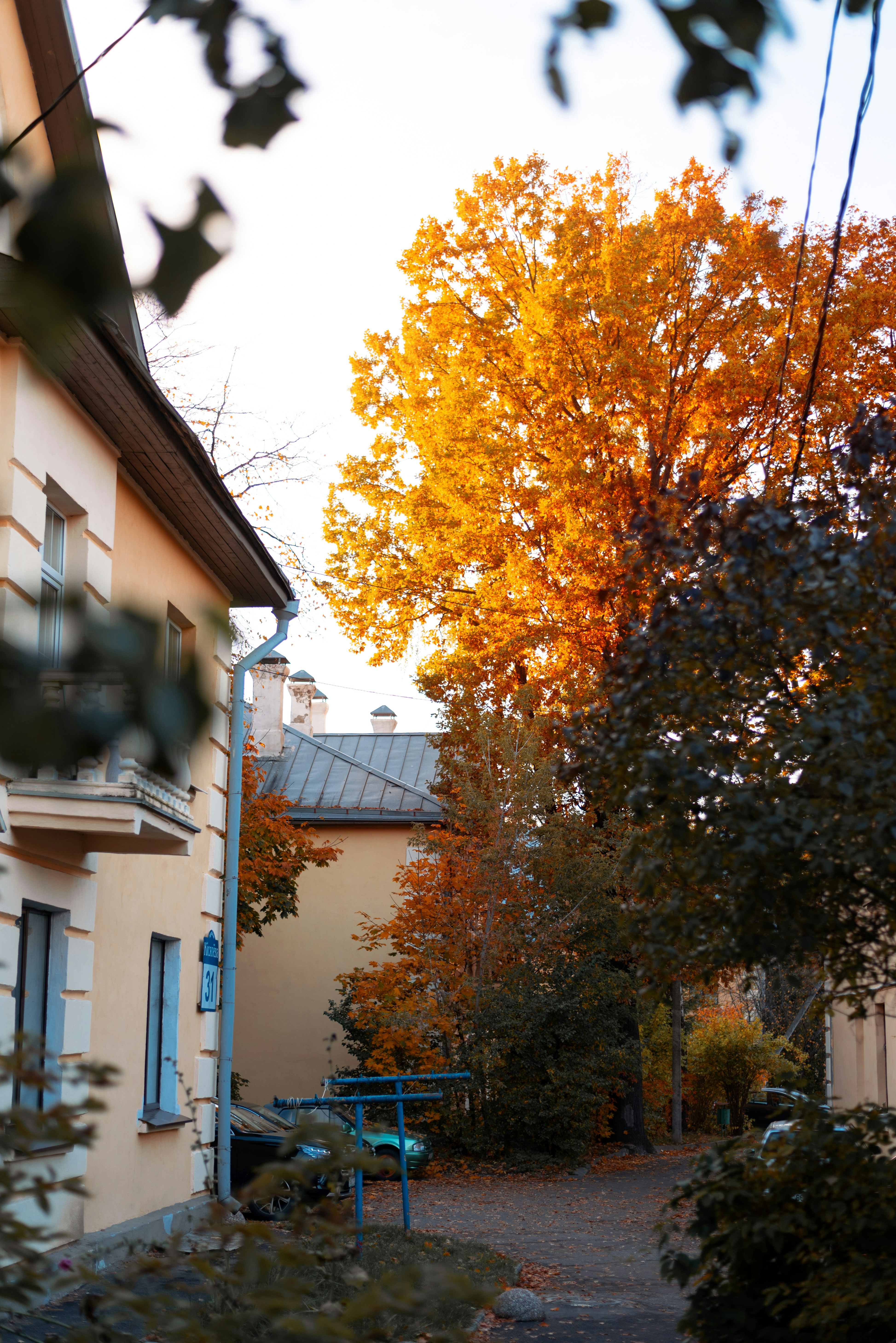 Photo by vadutskevich