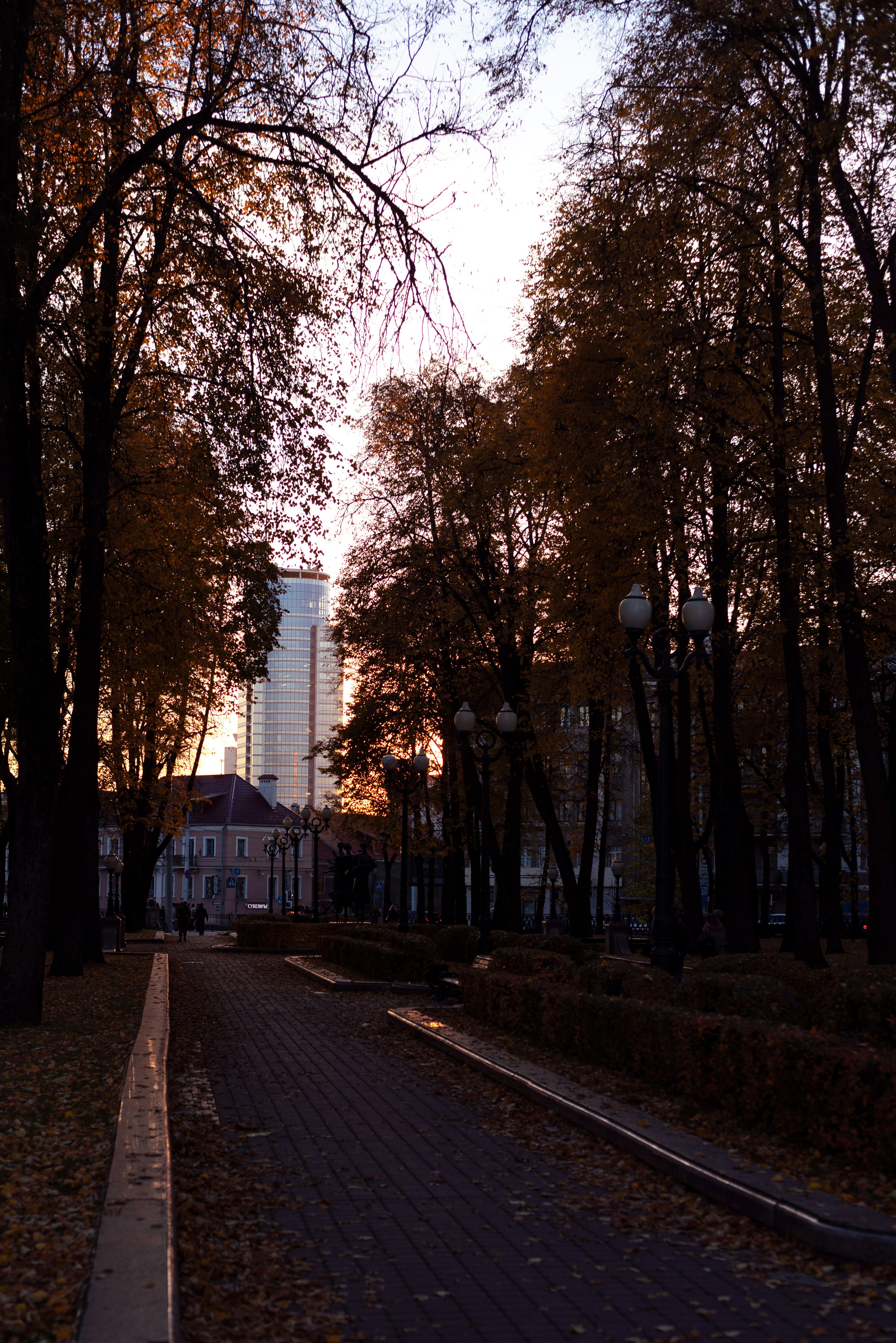 Photo by vadutskevich