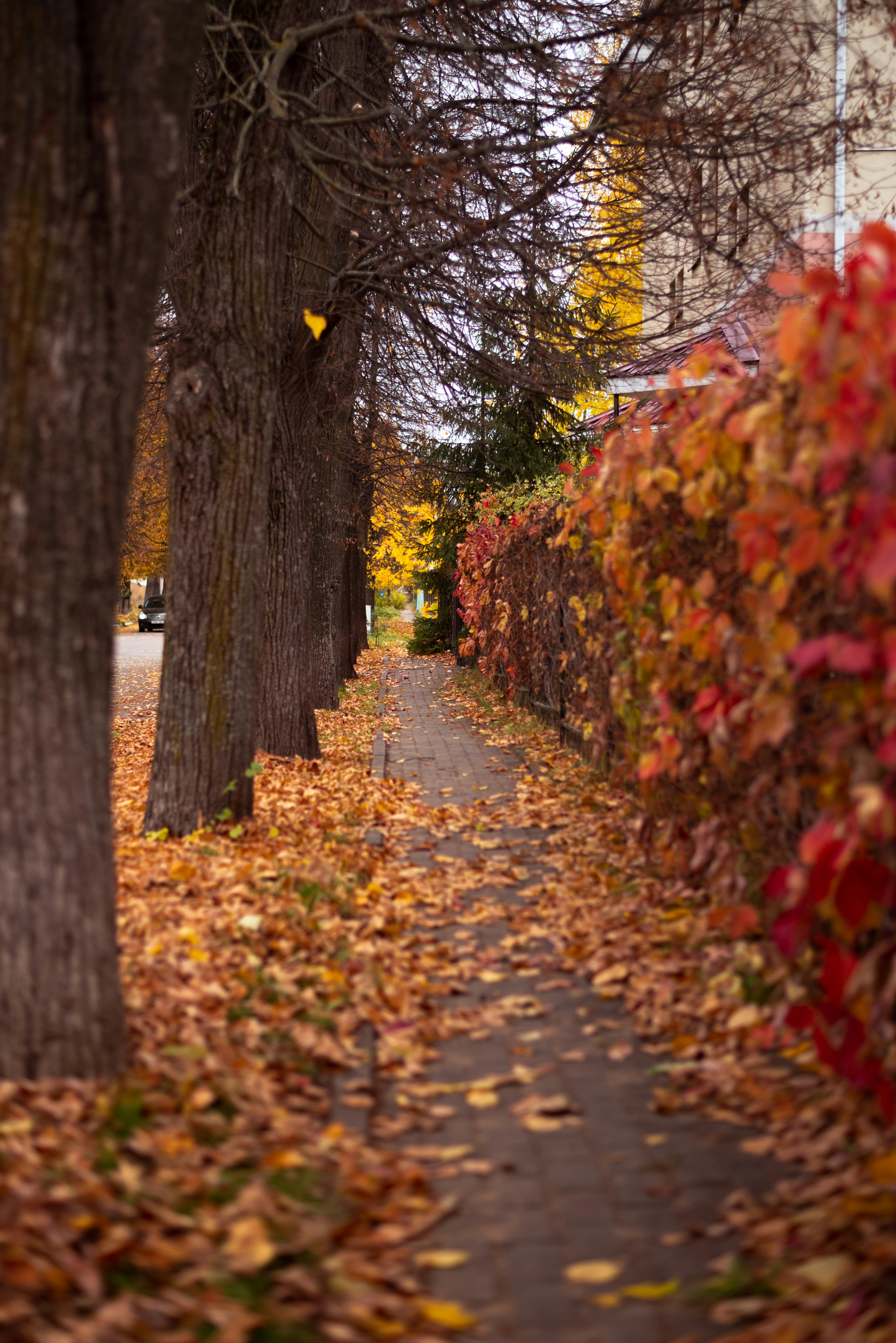 Photo by vadutskevich