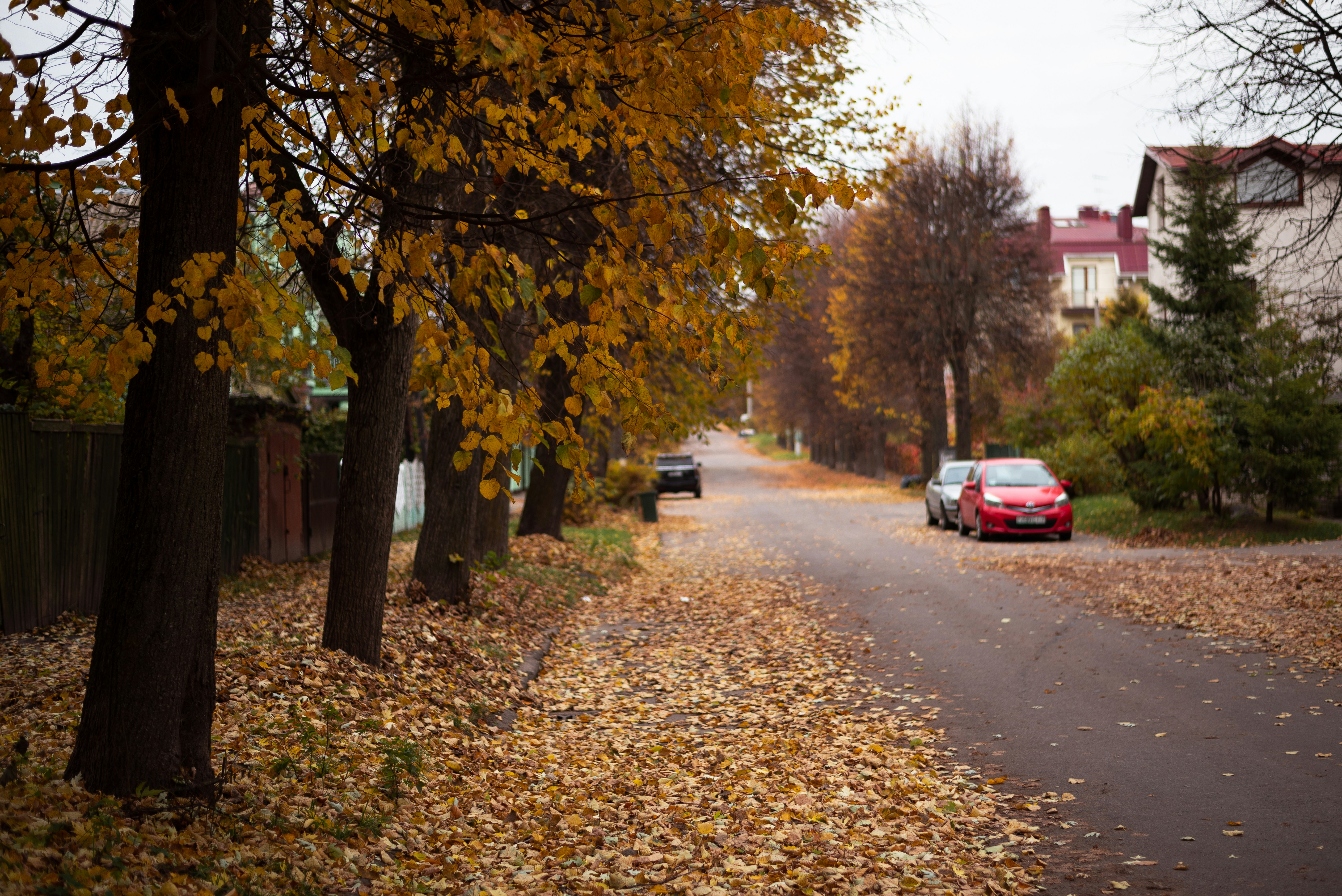 Photo by vadutskevich