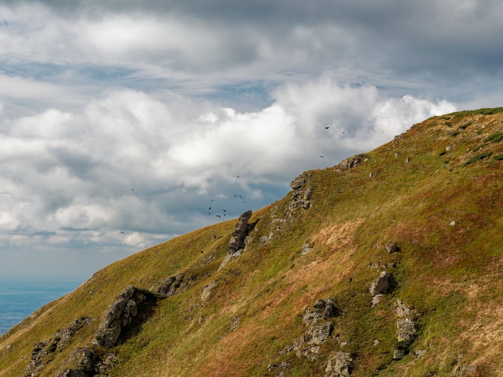 a grassy hill with a body of water in the background