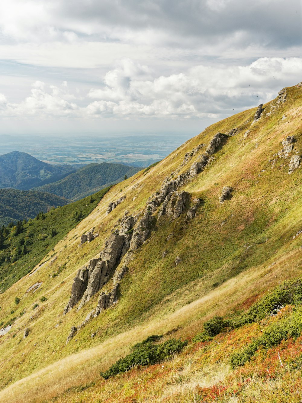 a grassy hill with trees and mountains in the background