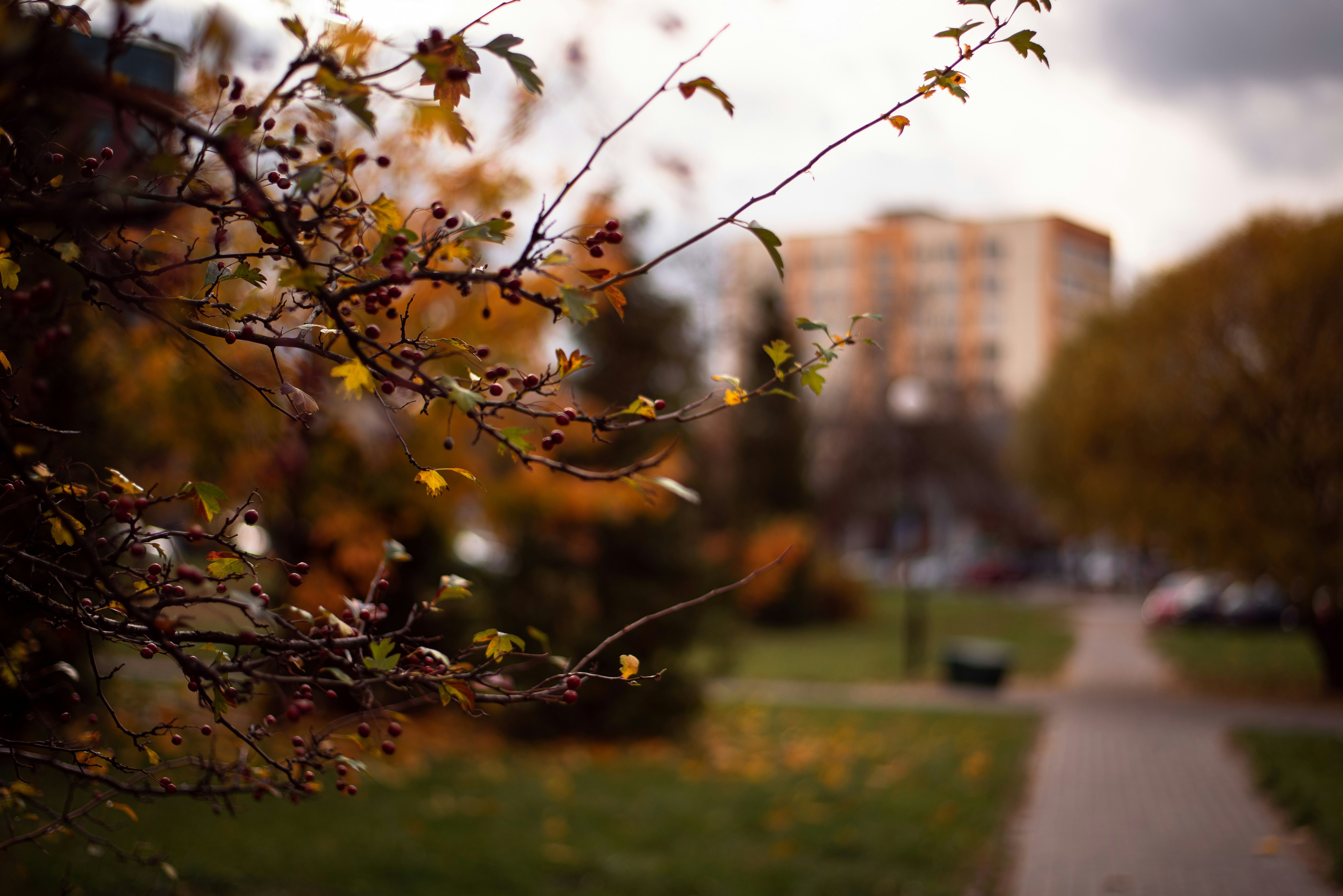 Photo by vadutskevich