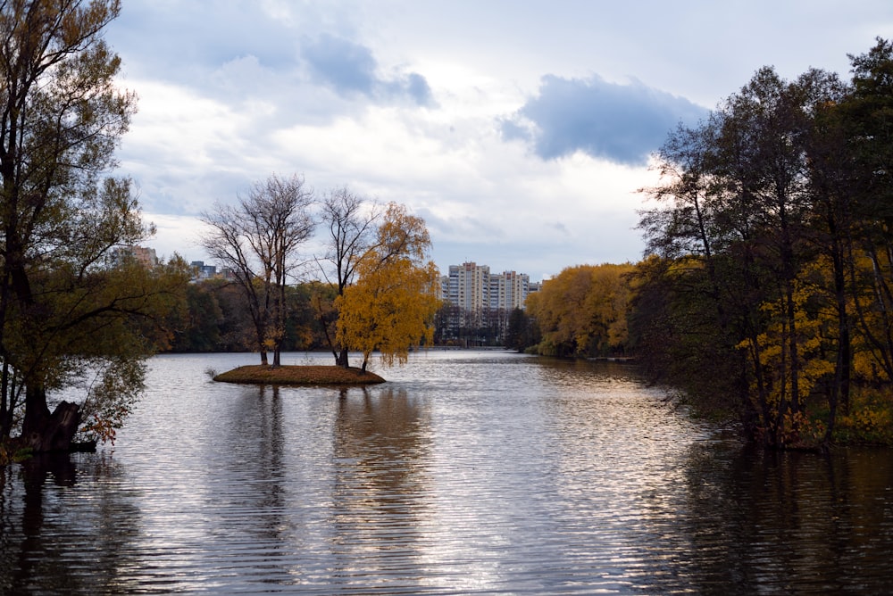a body of water with trees around it and buildings in the background