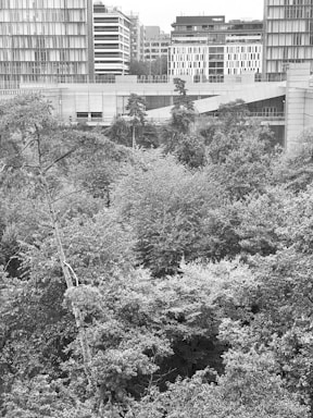 A dense grouping of trees occupies the foreground, with a backdrop of modern office buildings. The architecture features large glass windows and sharp geometric lines, creating a contrast between nature and urban development.