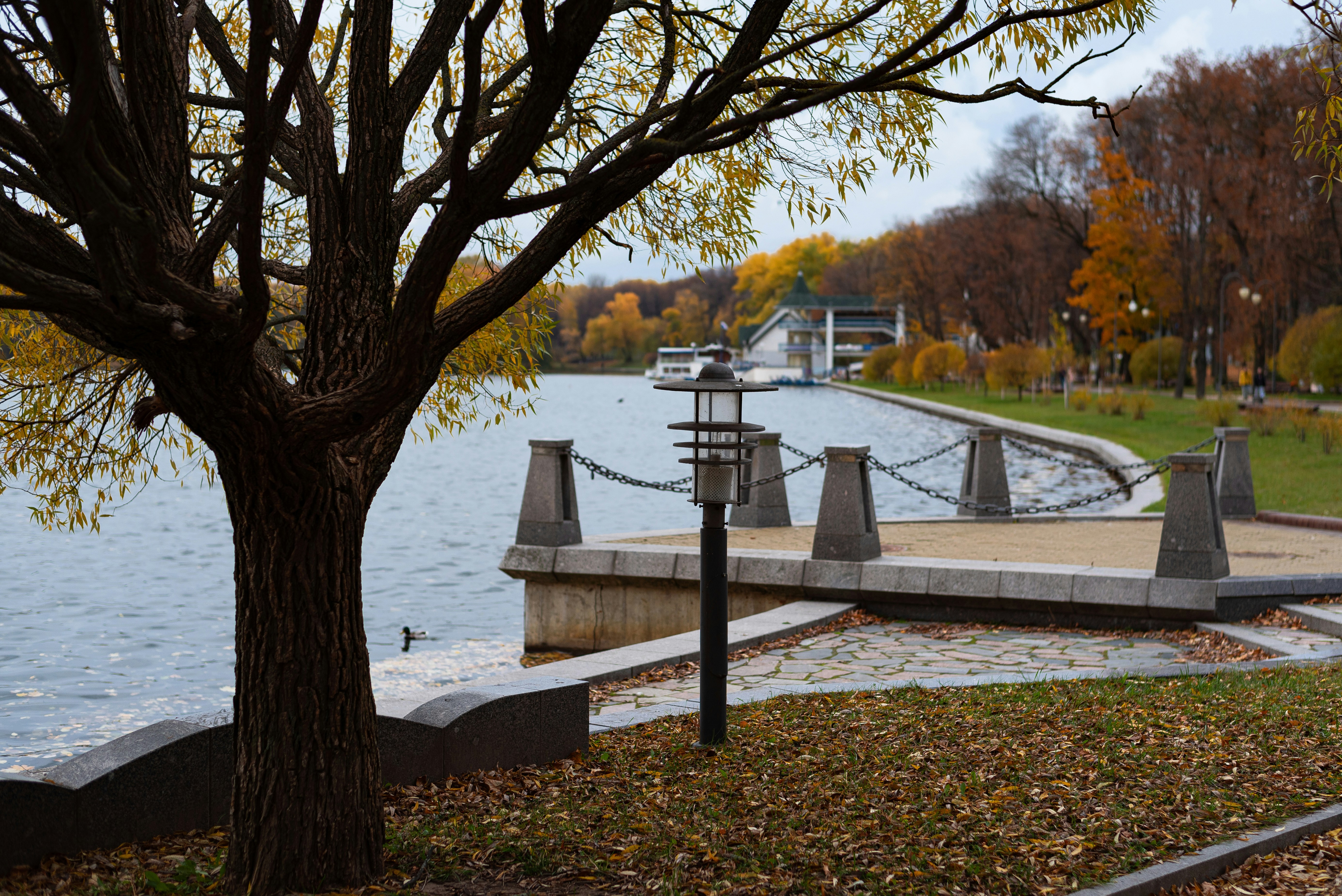 Photo by vadutskevich