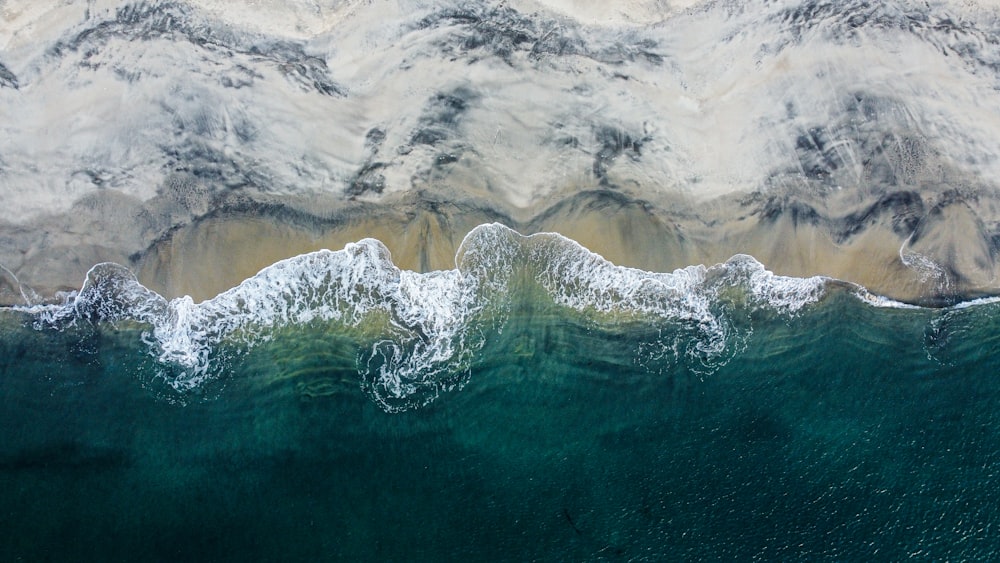 a wave in the ocean