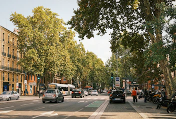 a street with cars and trees on the side