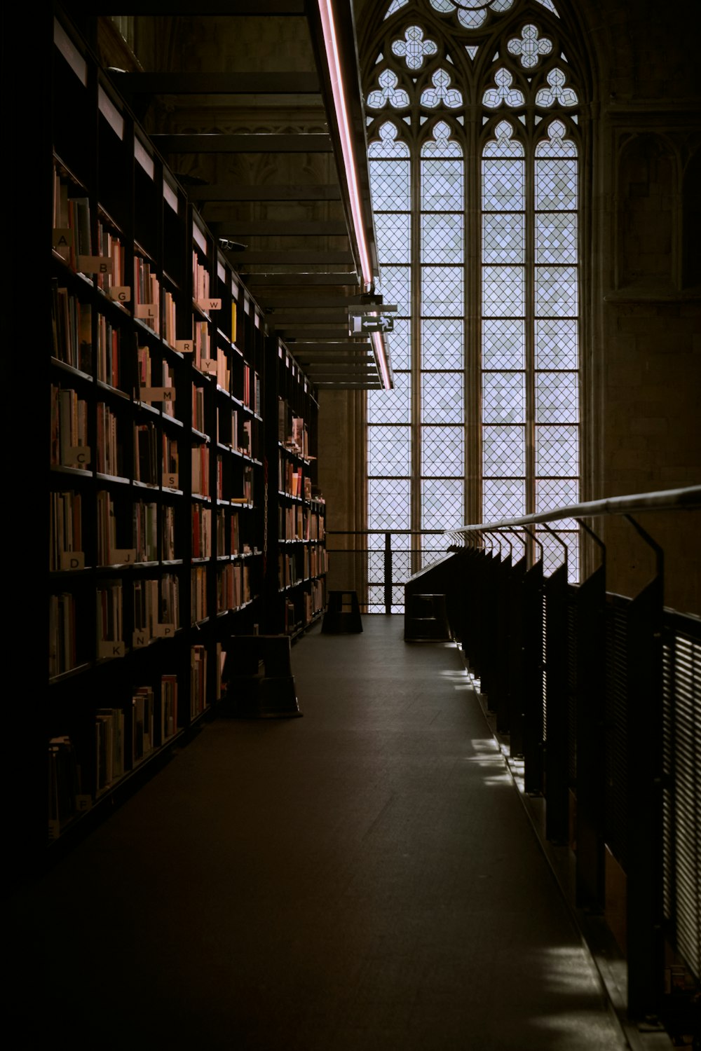 a library with books on shelves