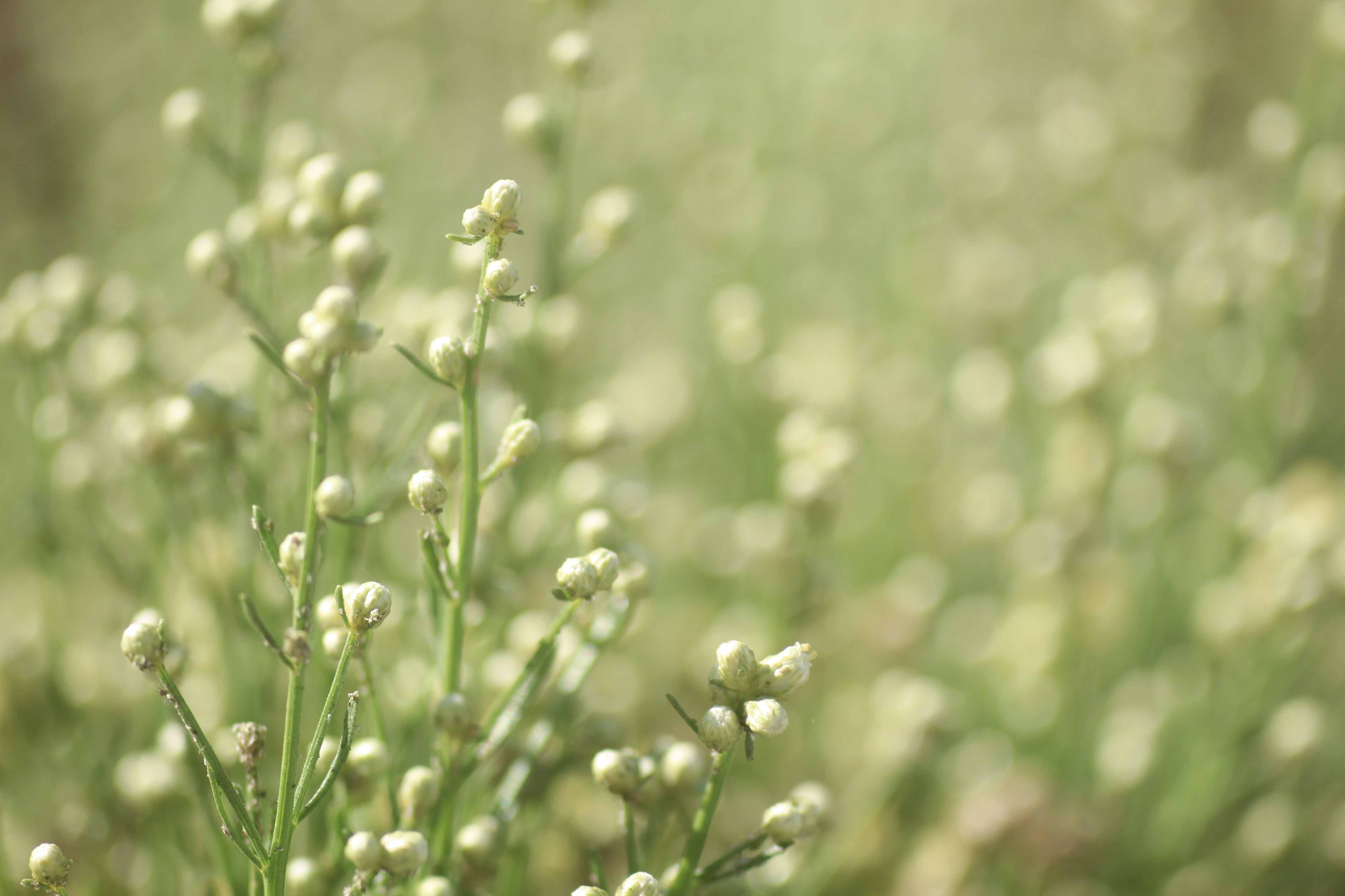 Photo by joshua_chehov