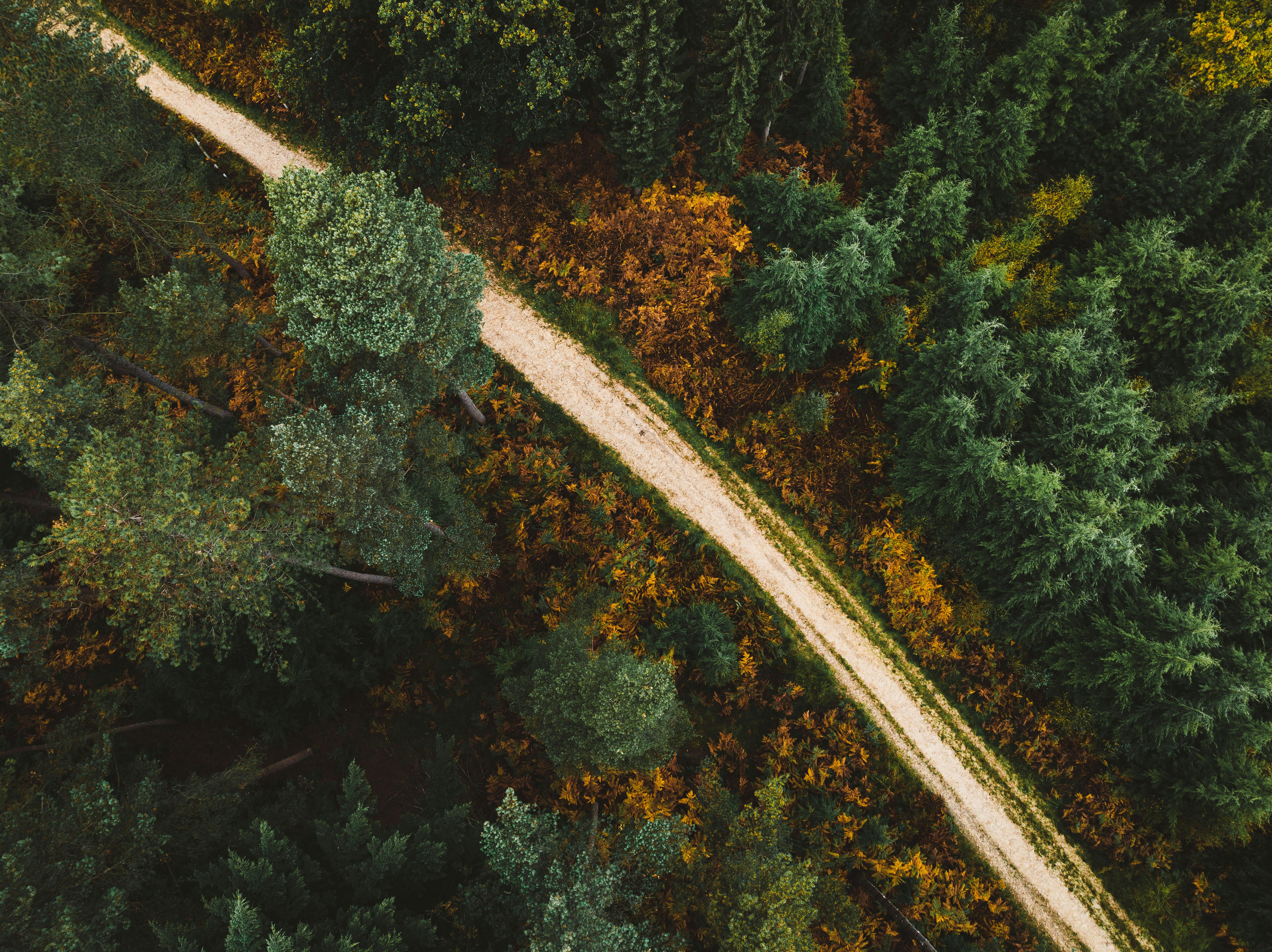 Photo by unstable_affliction