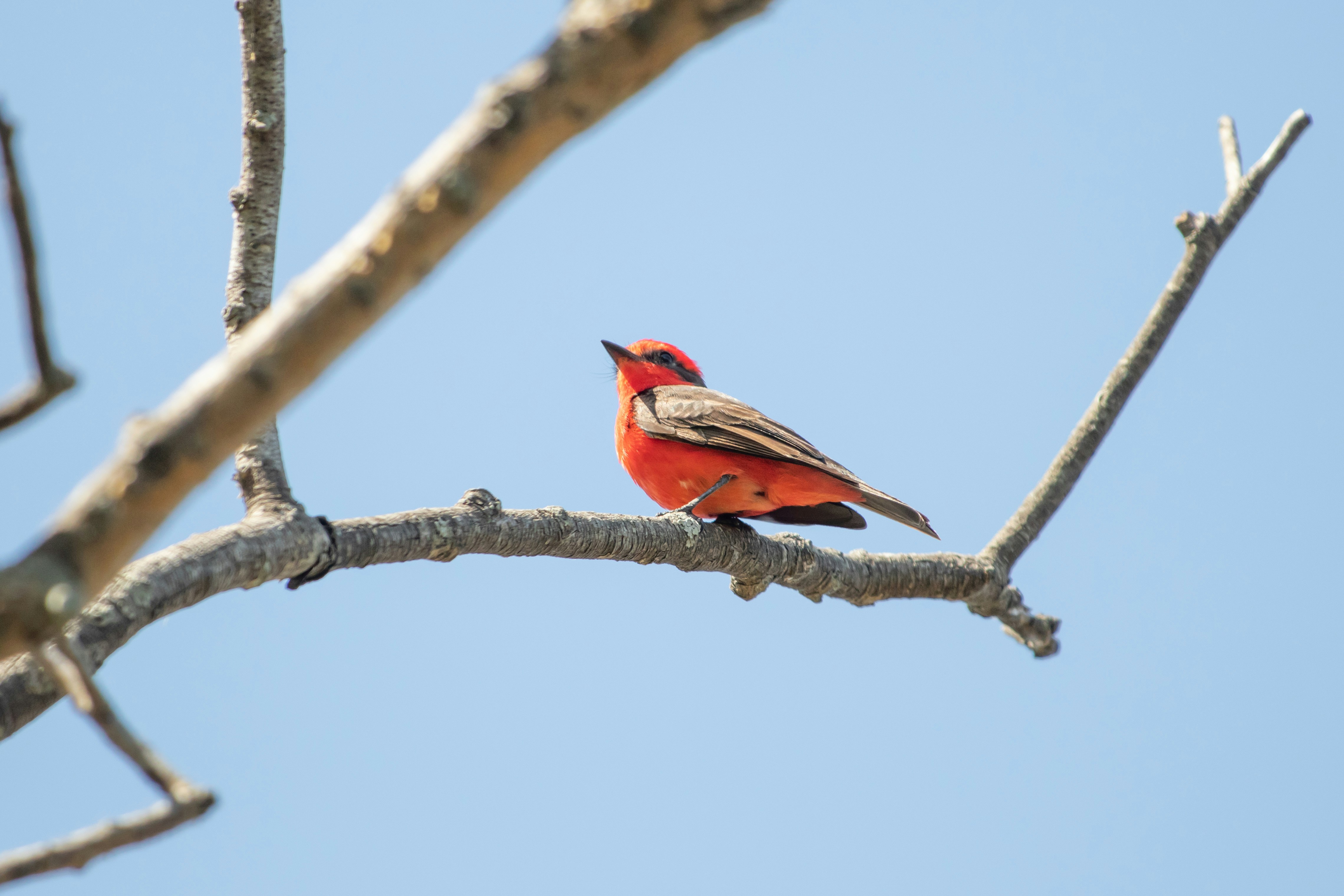 Photo by sonianadales