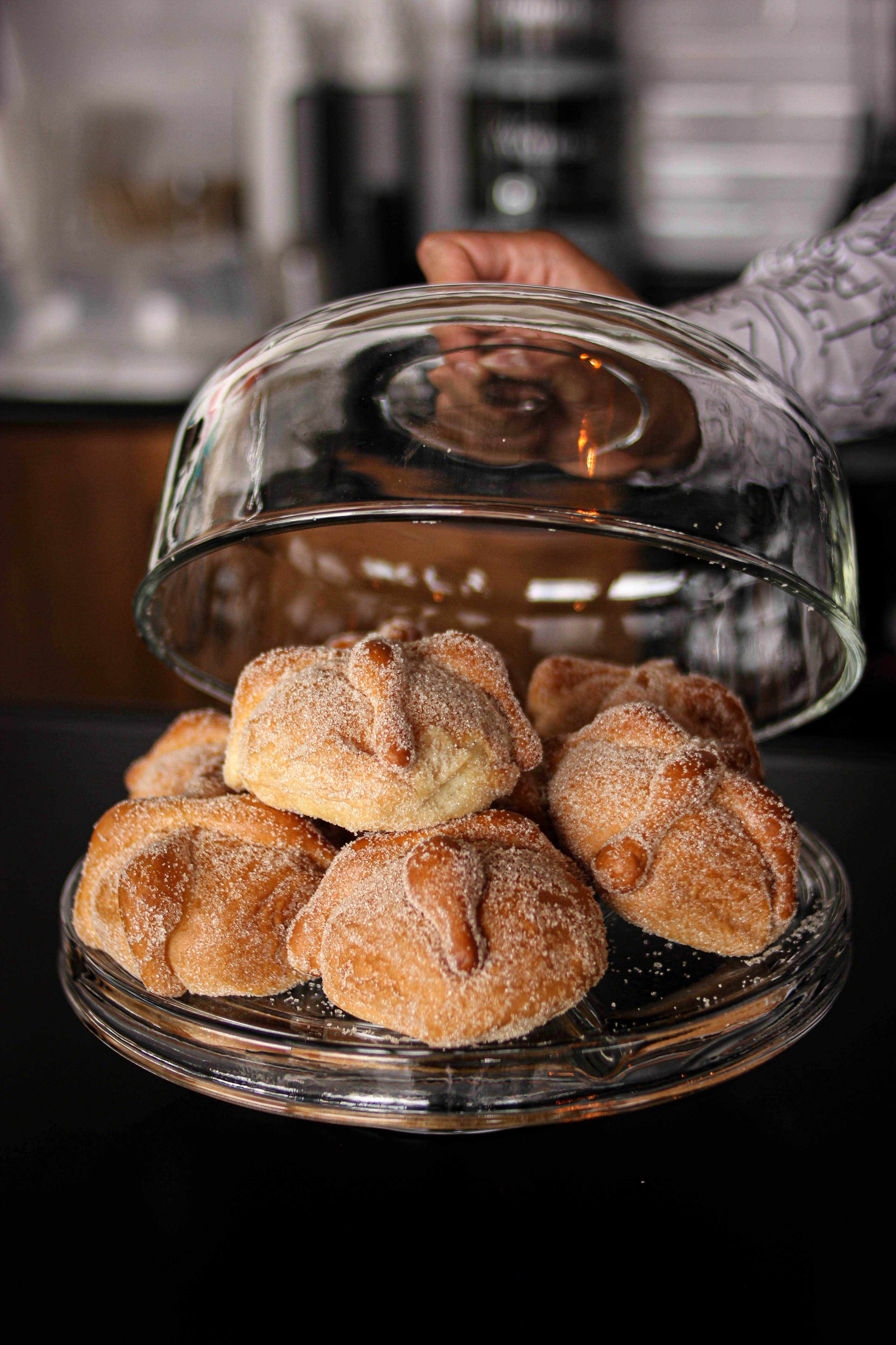 Cómo preparar pan de muerto vegano - photo-1666304828854-b476ae18ece6?ixlib=rb-4.1