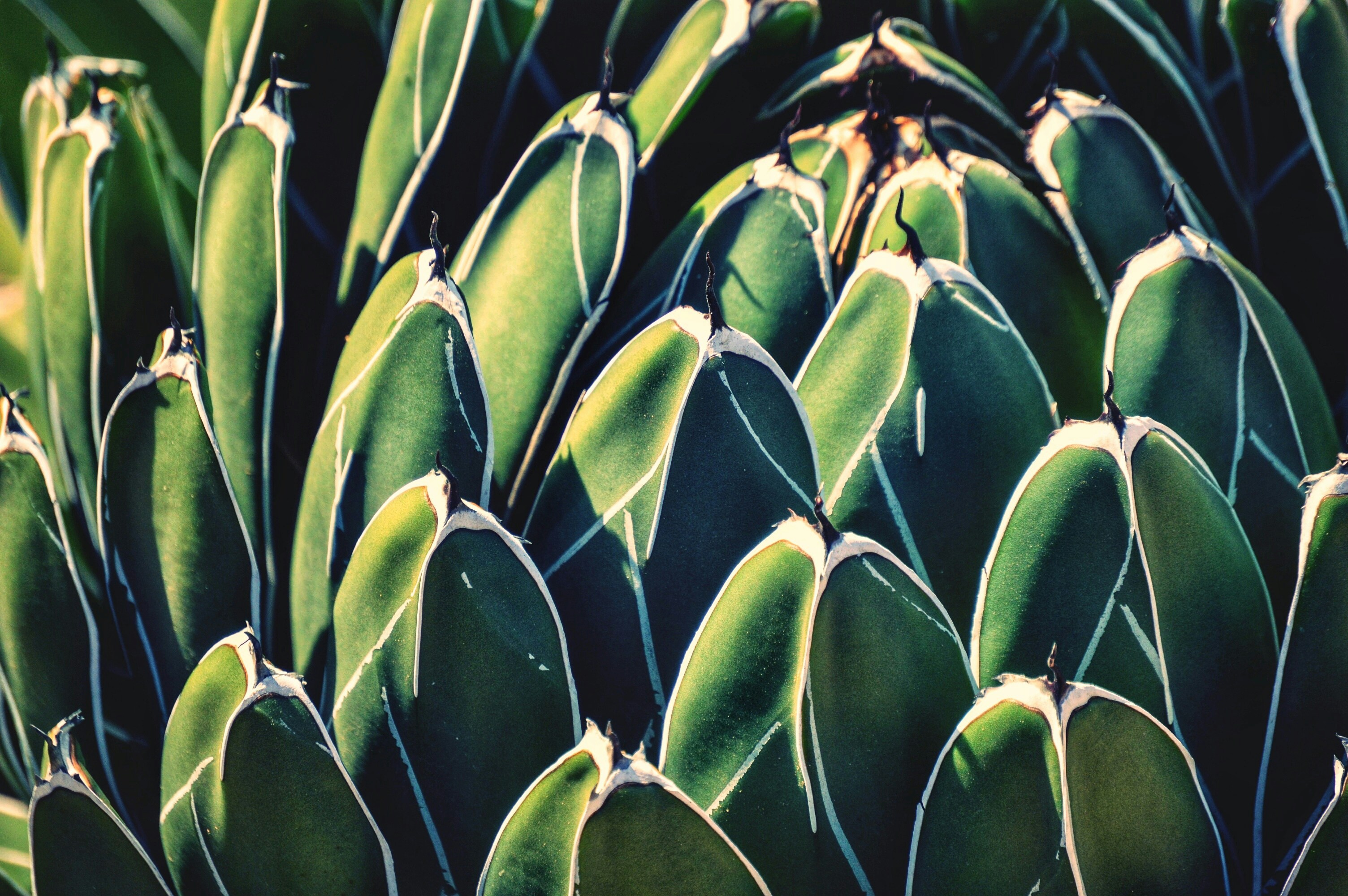 Photo by lndr343