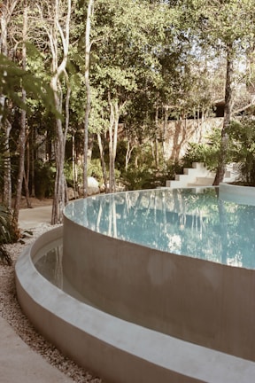 a swimming pool surrounded by trees