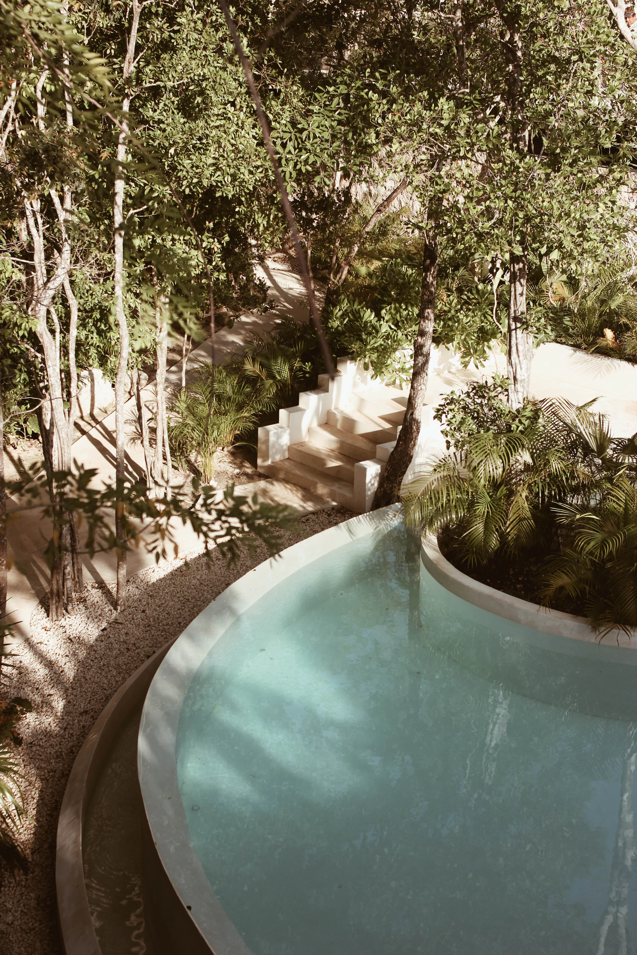 A private pool framed by tropical trees